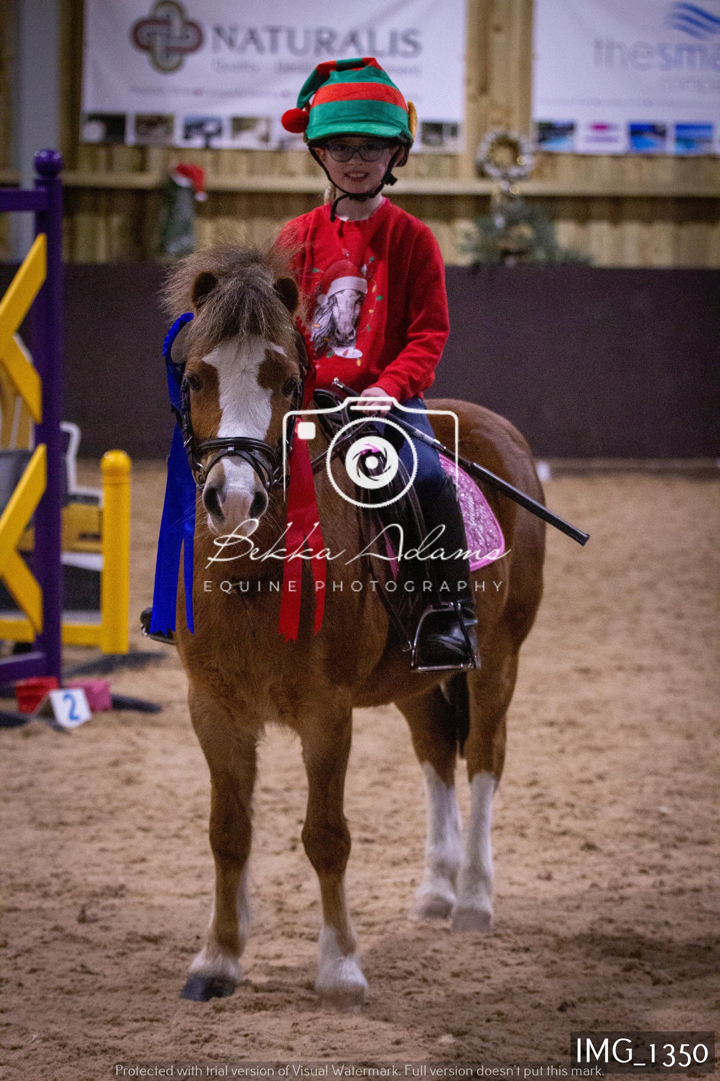 Home Farm New Year Showjumping 2nd January - Juniors