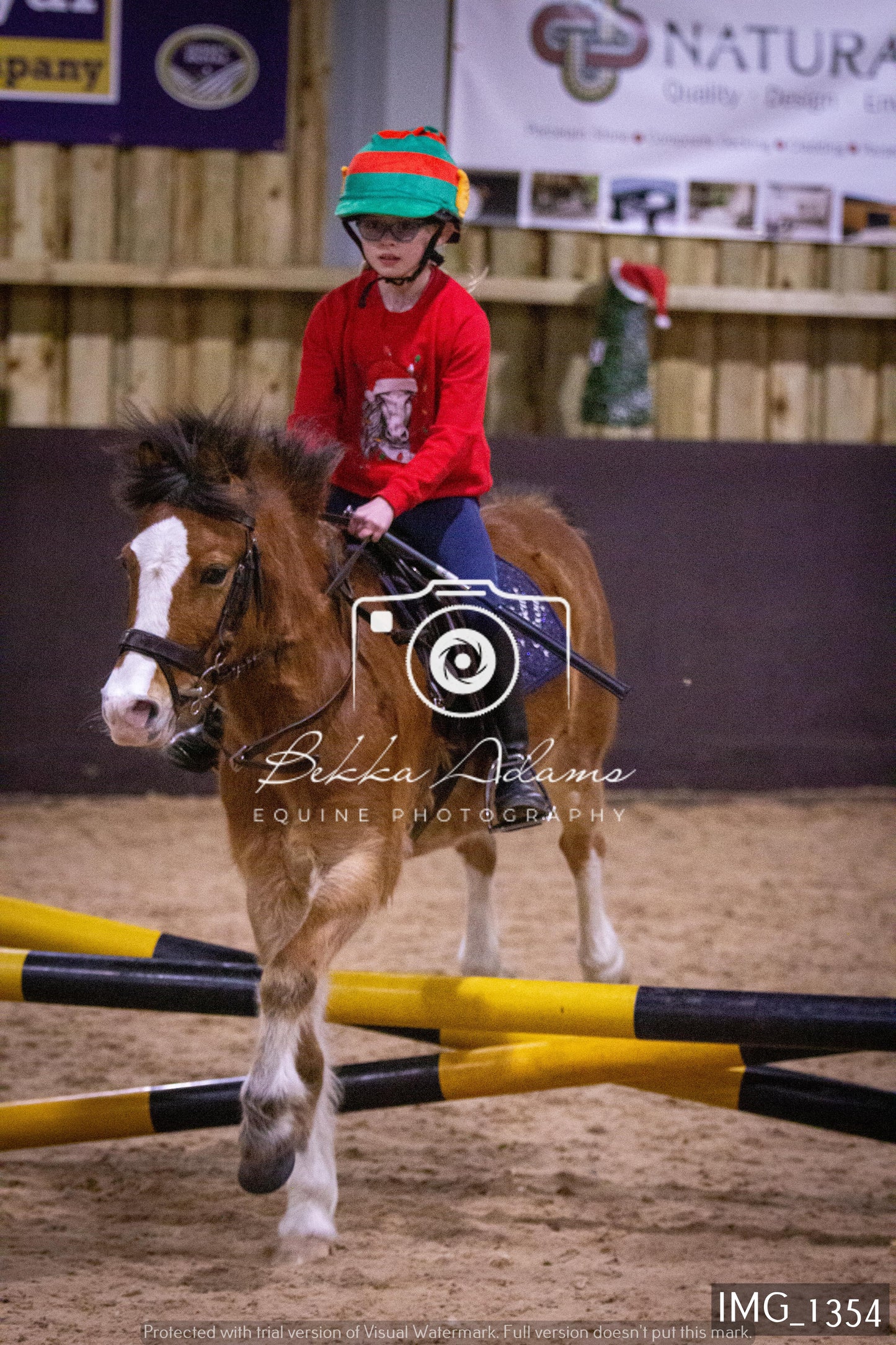 Home Farm New Year Showjumping 2nd January - Juniors
