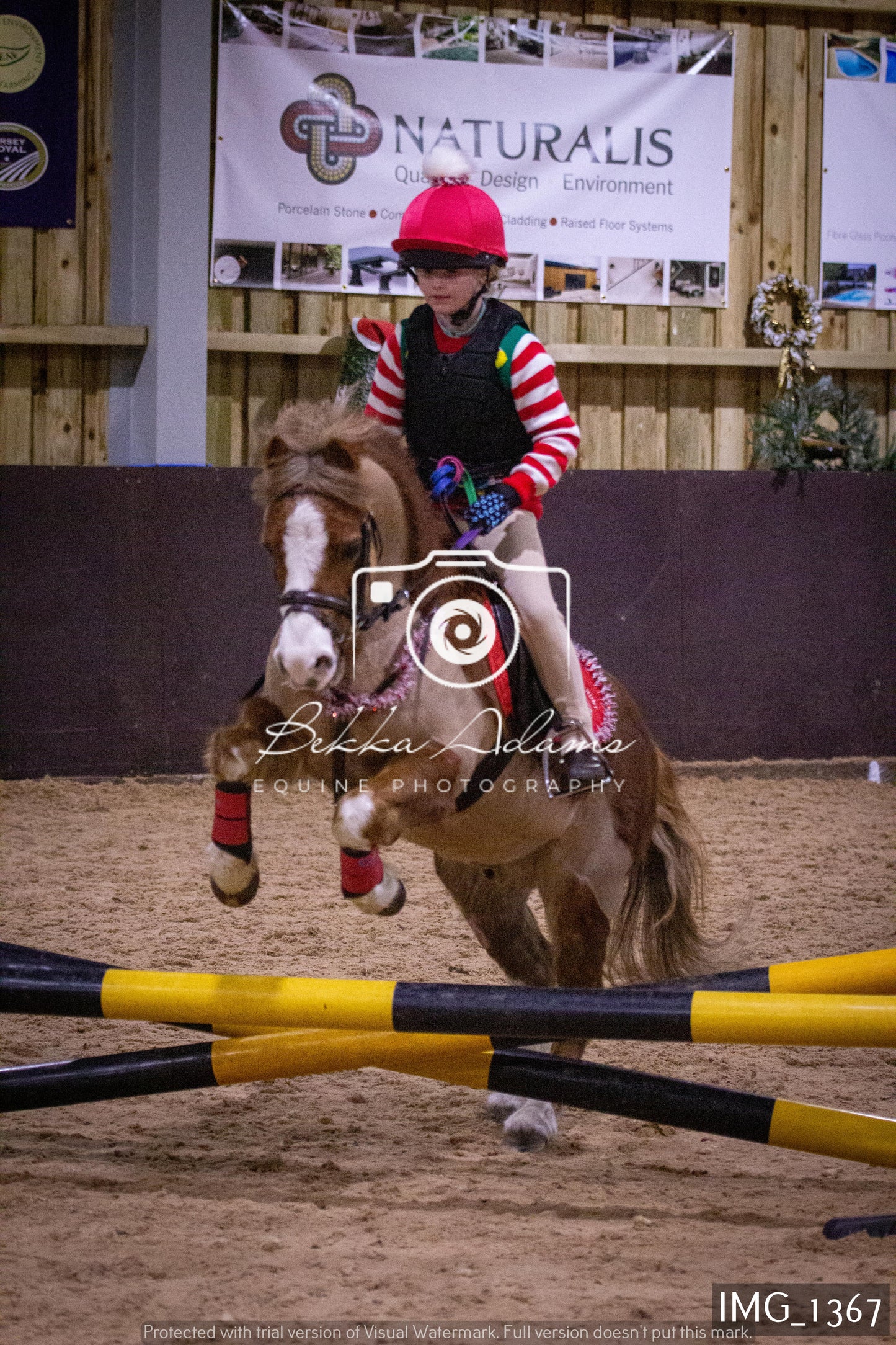 Home Farm New Year Showjumping 2nd January - Juniors