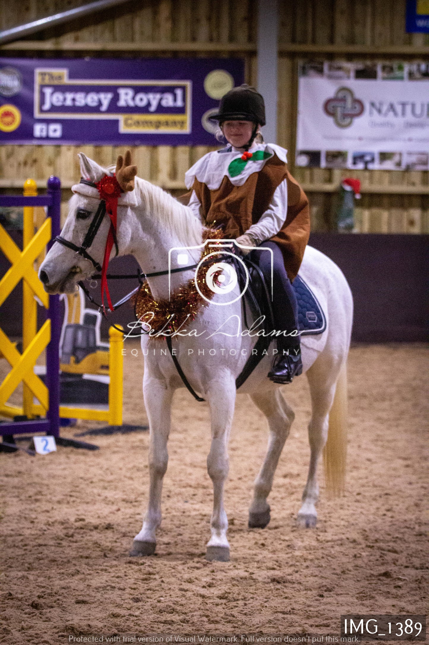 Home Farm New Year Showjumping 2nd January - Juniors