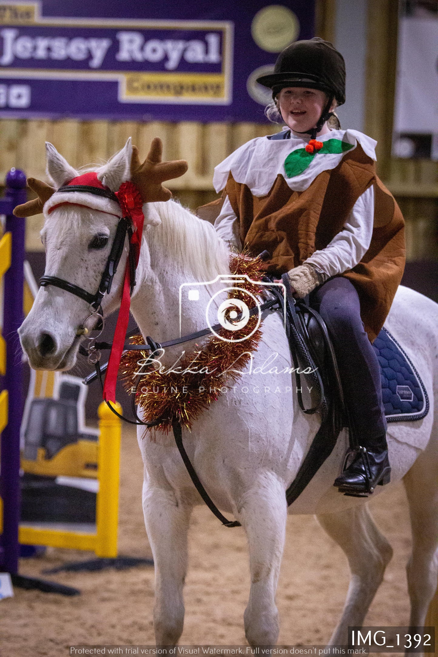 Home Farm New Year Showjumping 2nd January - Juniors