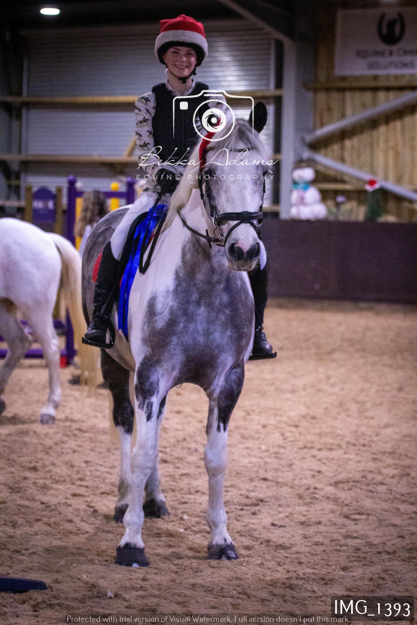 Home Farm New Year Showjumping 2nd January - Juniors