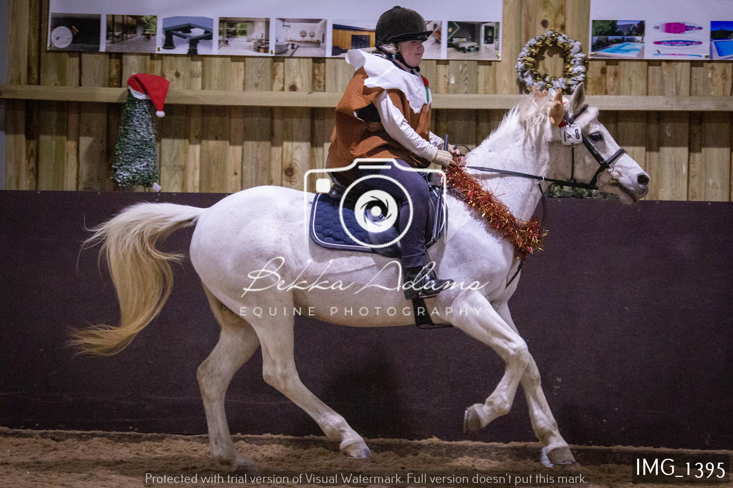 Home Farm New Year Showjumping 2nd January - Juniors