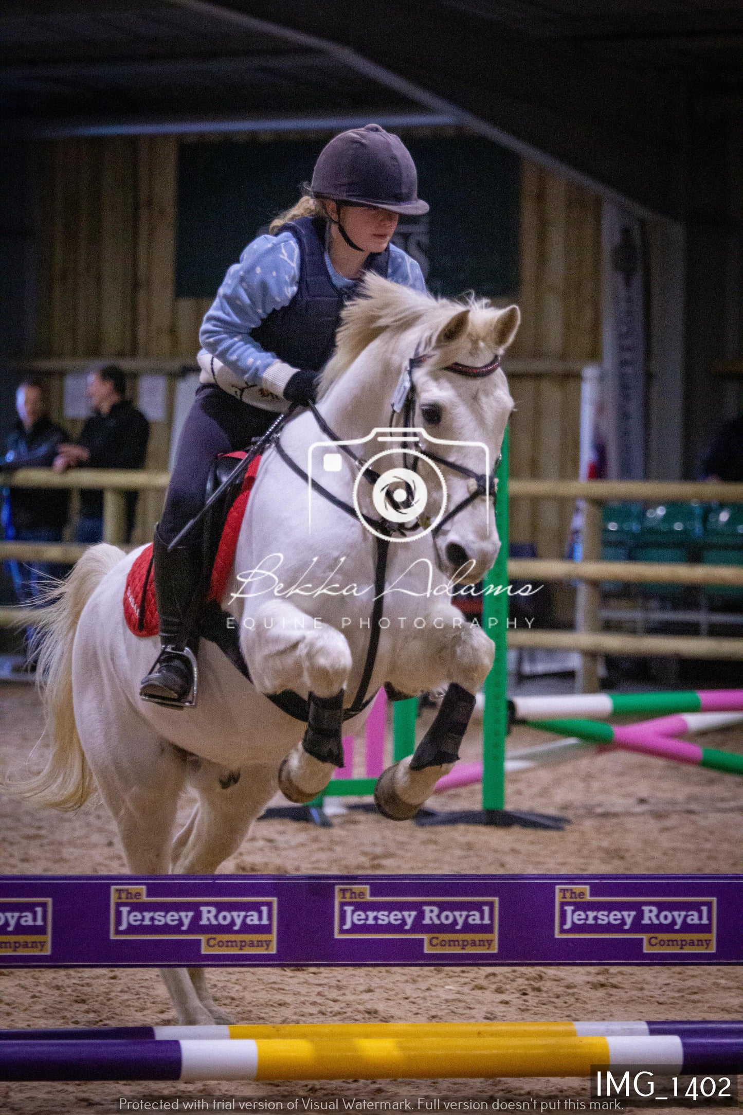 Home Farm New Year Showjumping 2nd January - Juniors