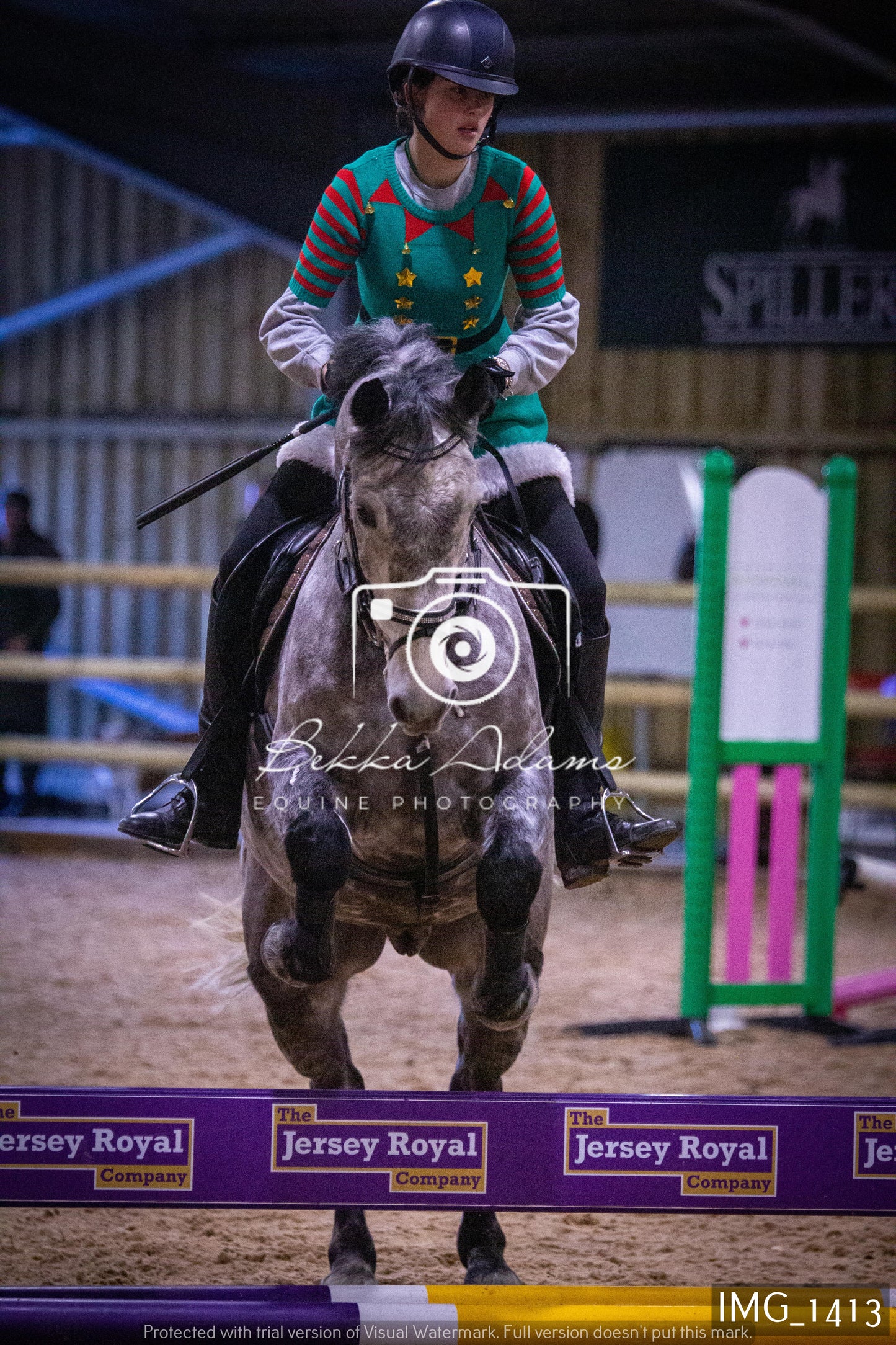 Home Farm New Year Showjumping 2nd January - Juniors