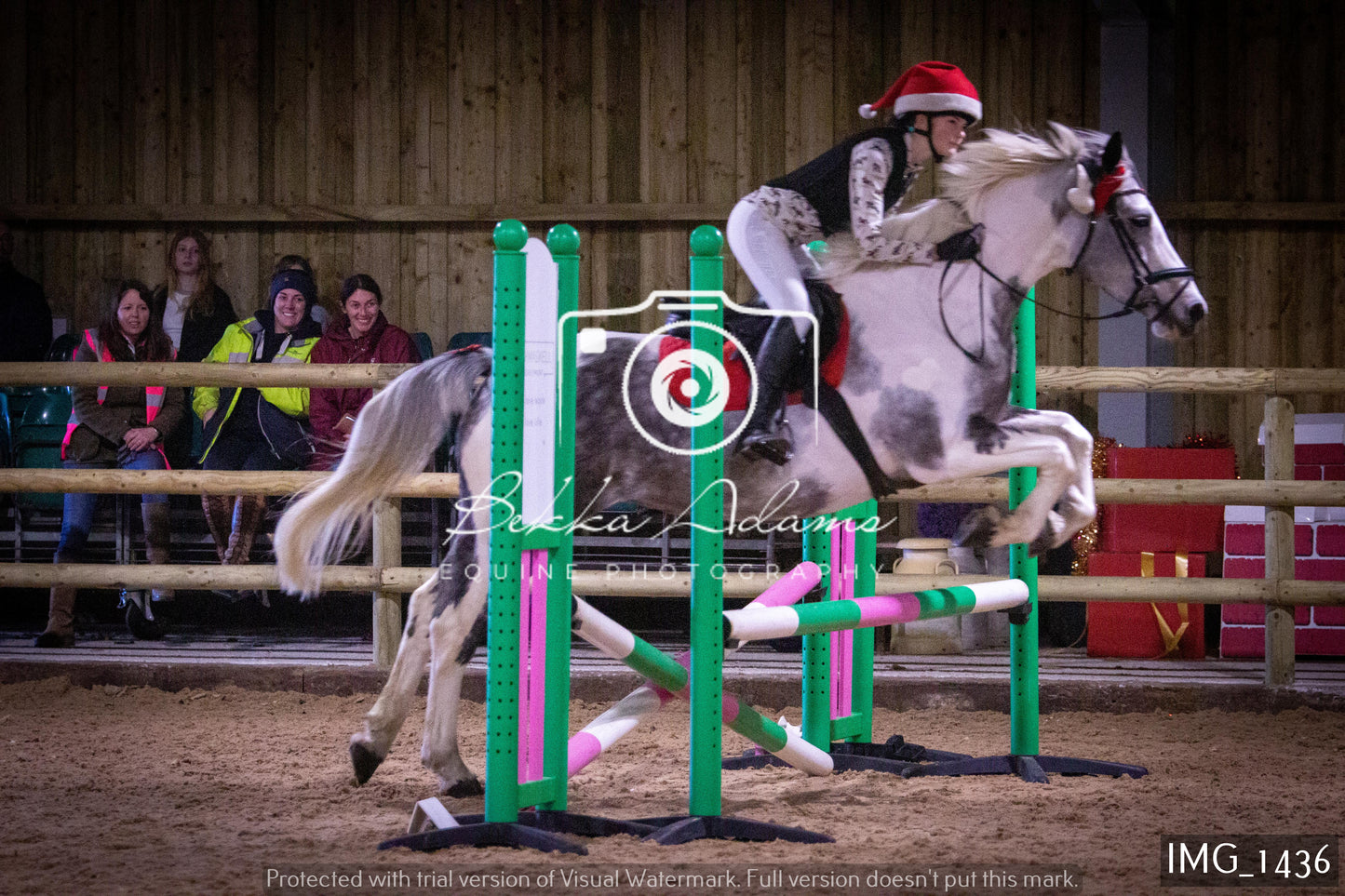 Home Farm New Year Showjumping 2nd January - Juniors