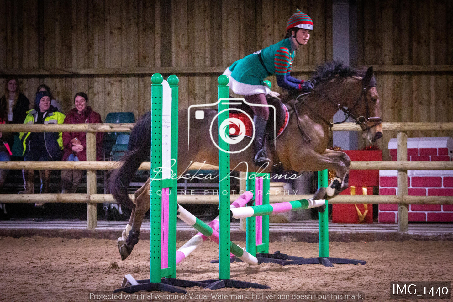 Home Farm New Year Showjumping 2nd January - Juniors