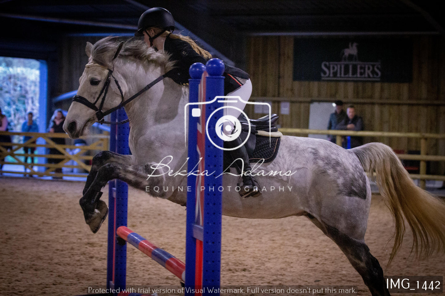 Home Farm New Year Showjumping 2nd January - Juniors