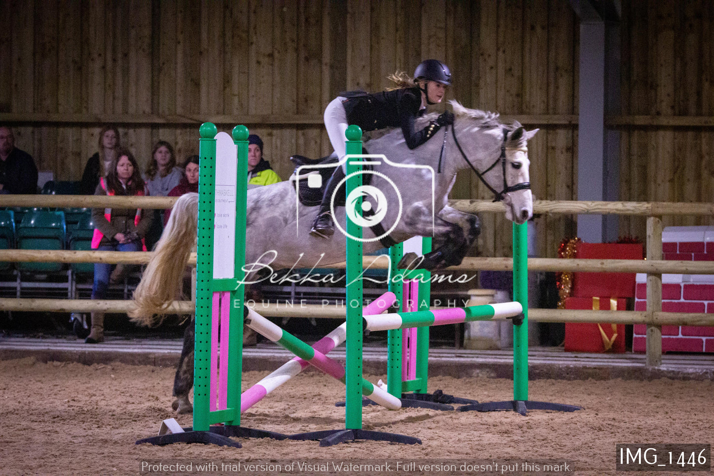 Home Farm New Year Showjumping 2nd January - Juniors
