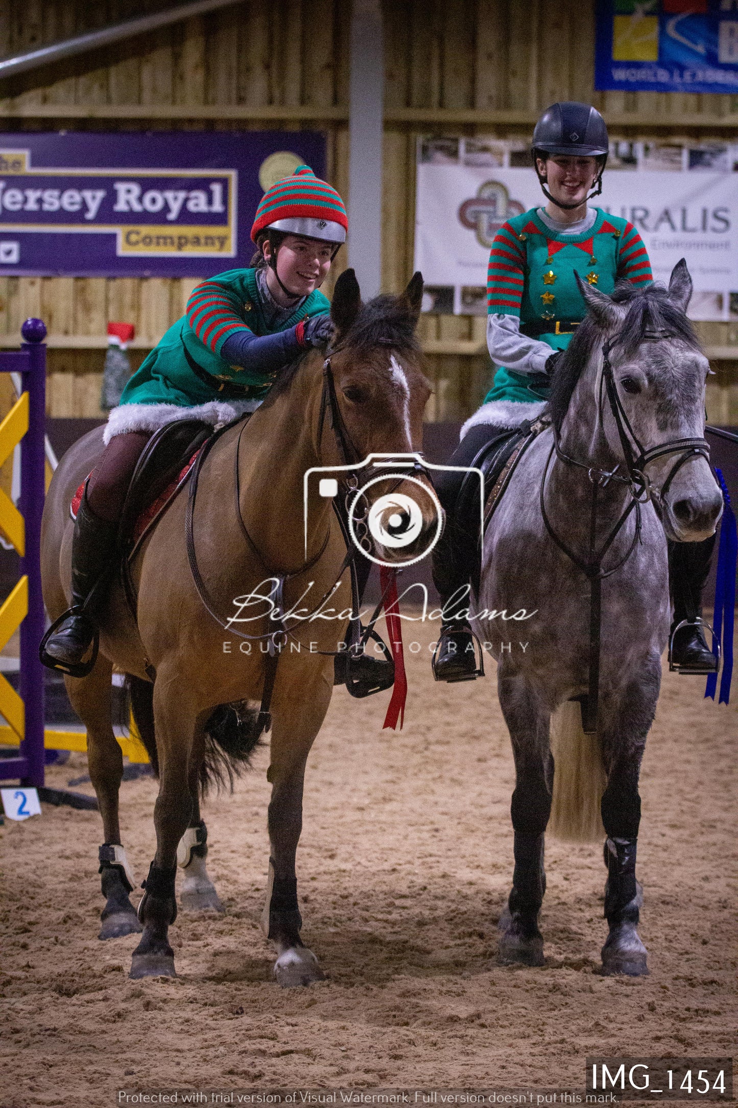 Home Farm New Year Showjumping 2nd January - Juniors