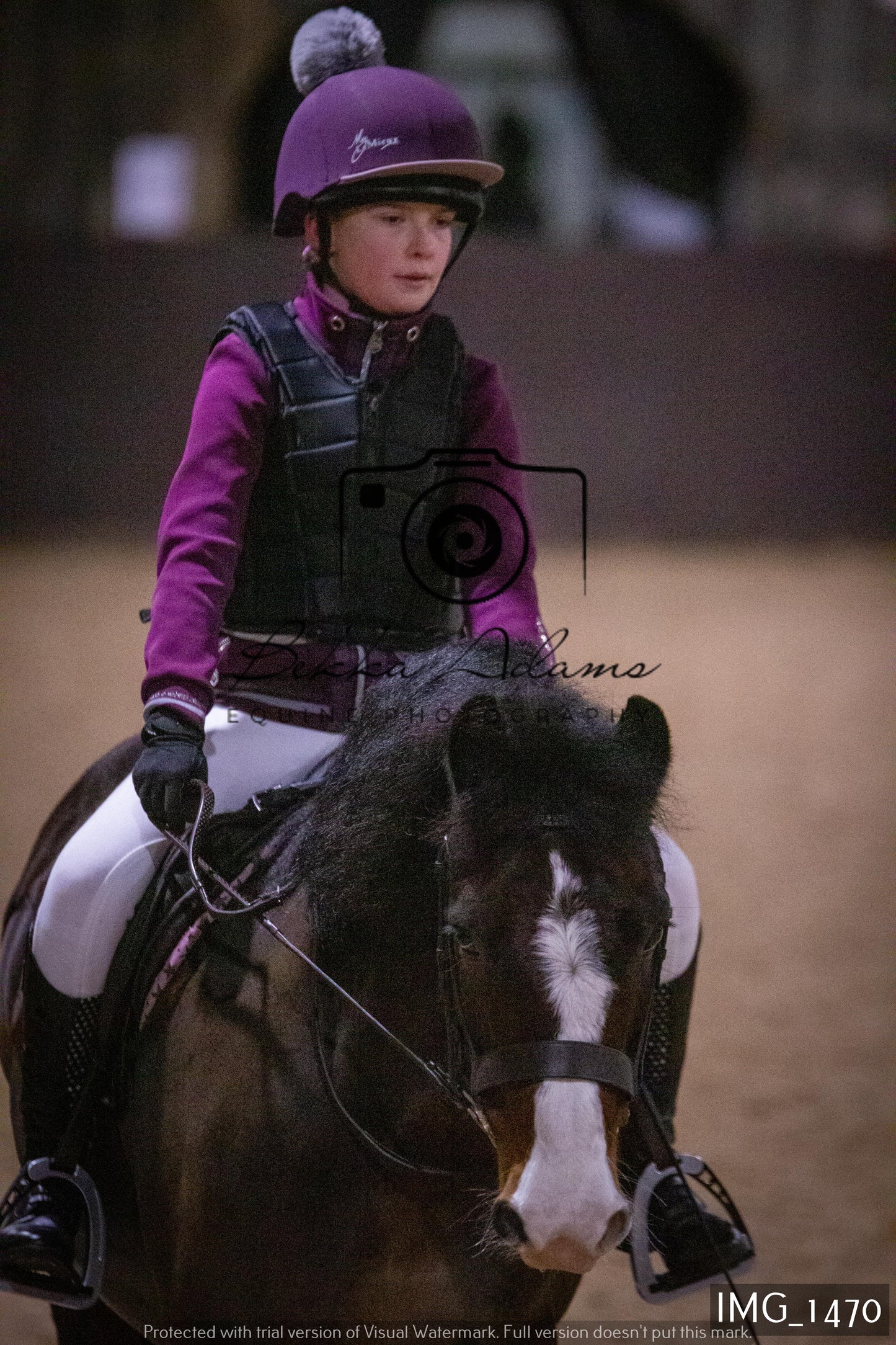 Home Farm Dressage 22nd January - Juniors