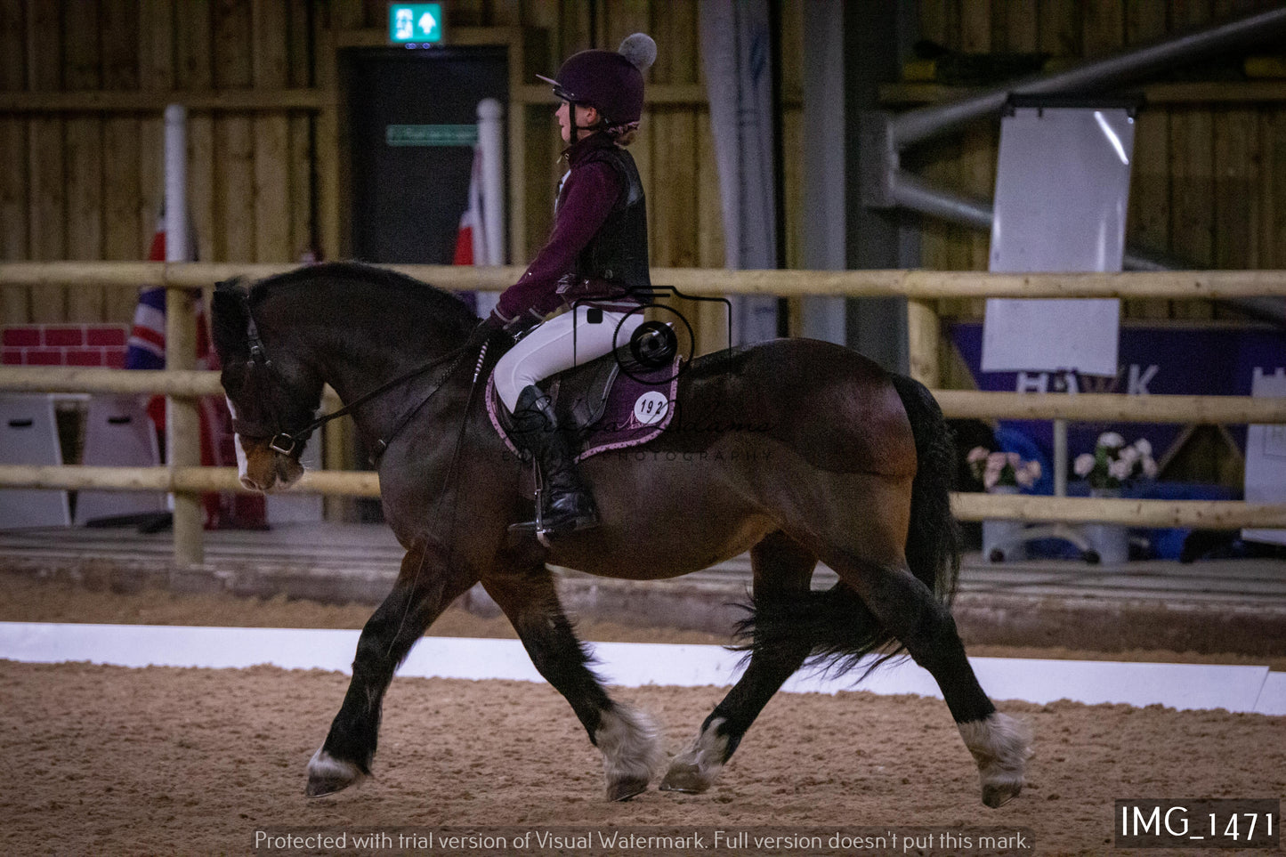 Home Farm Dressage 22nd January - Juniors