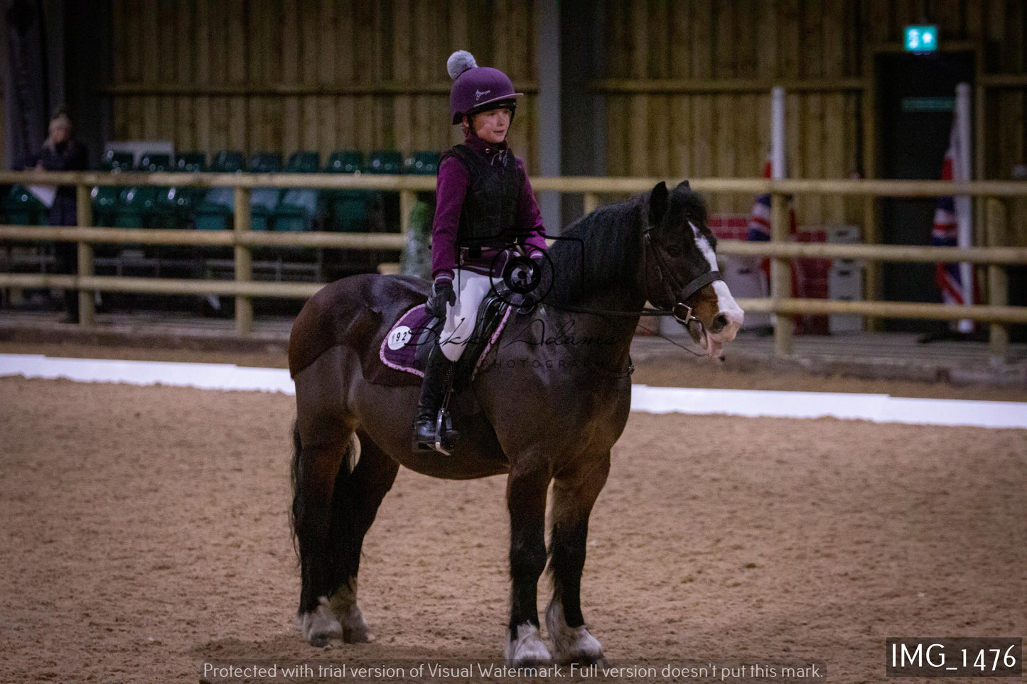 Home Farm Dressage 22nd January - Juniors