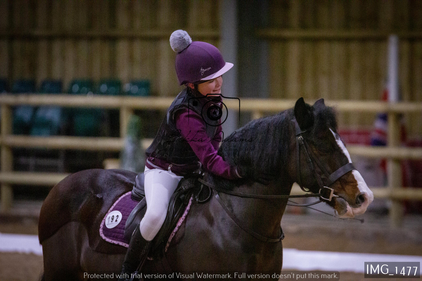 Home Farm Dressage 22nd January - Juniors