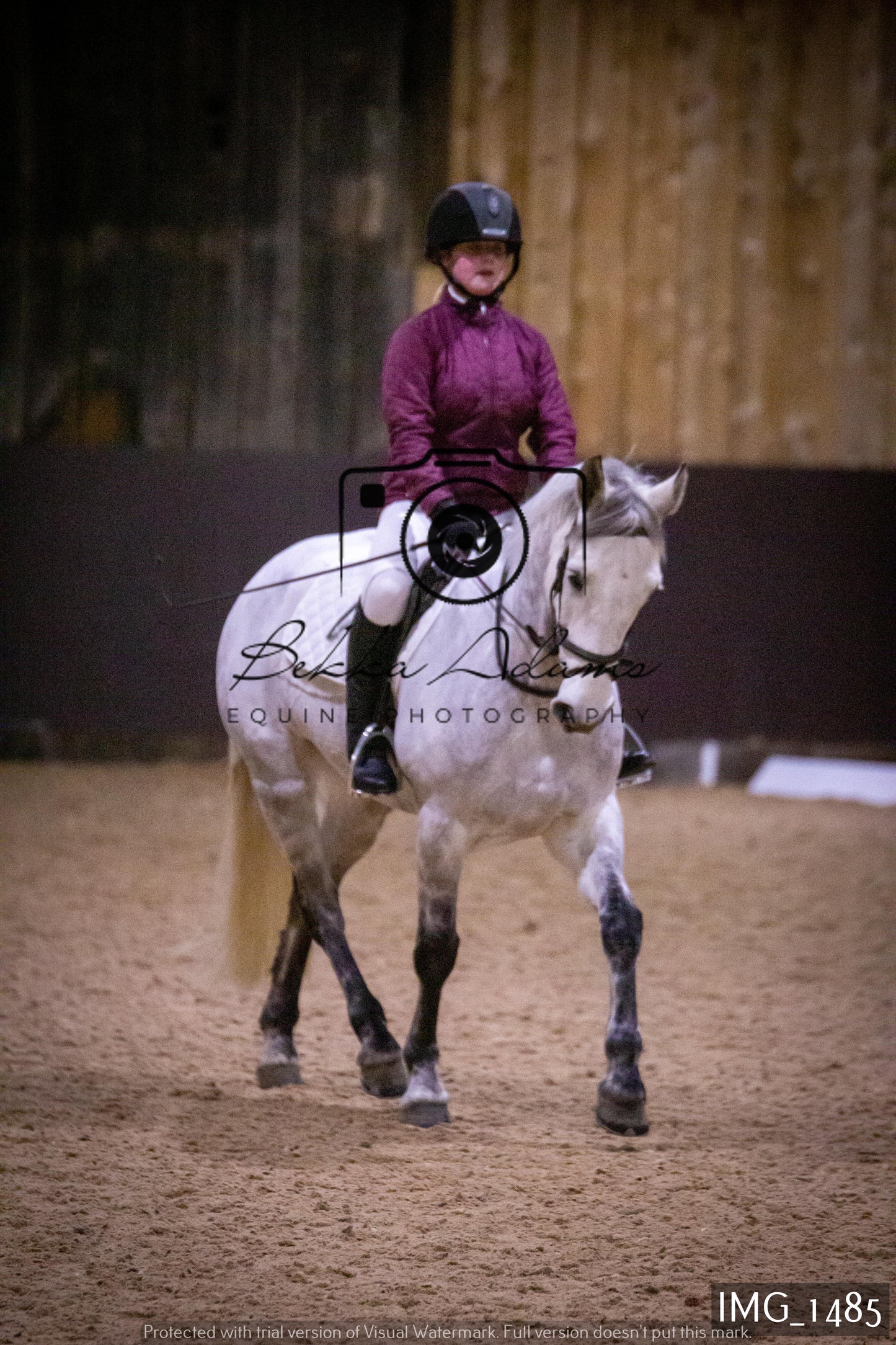 Home Farm Dressage 22nd January - Juniors