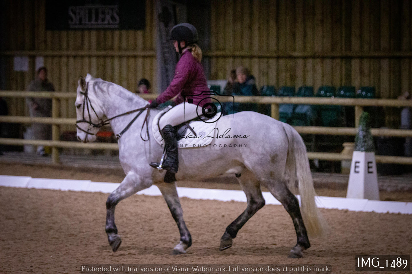 Home Farm Dressage 22nd January - Juniors