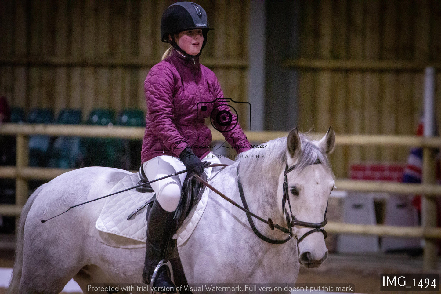 Home Farm Dressage 22nd January - Juniors