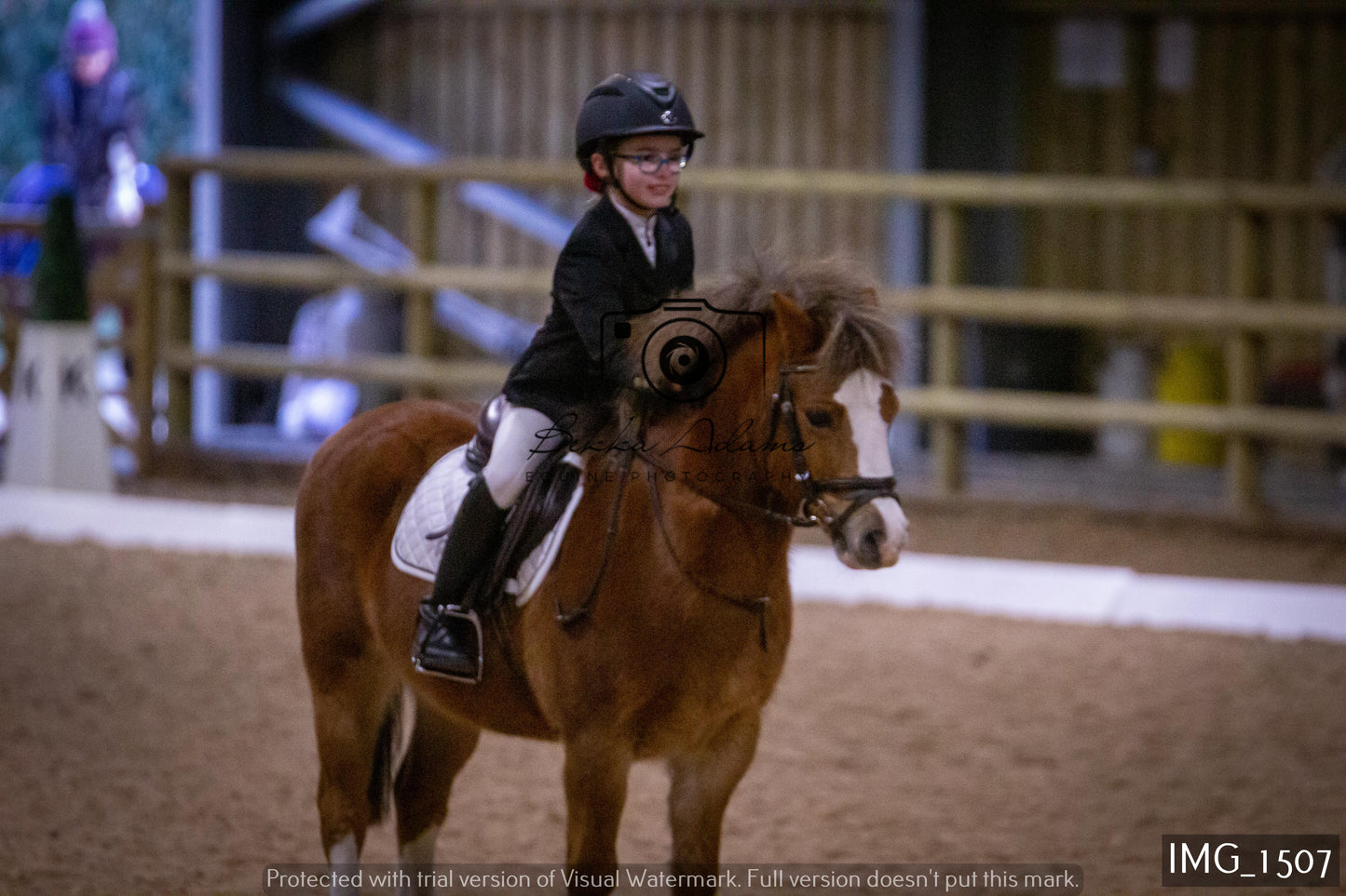 Home Farm Dressage 22nd January - Juniors