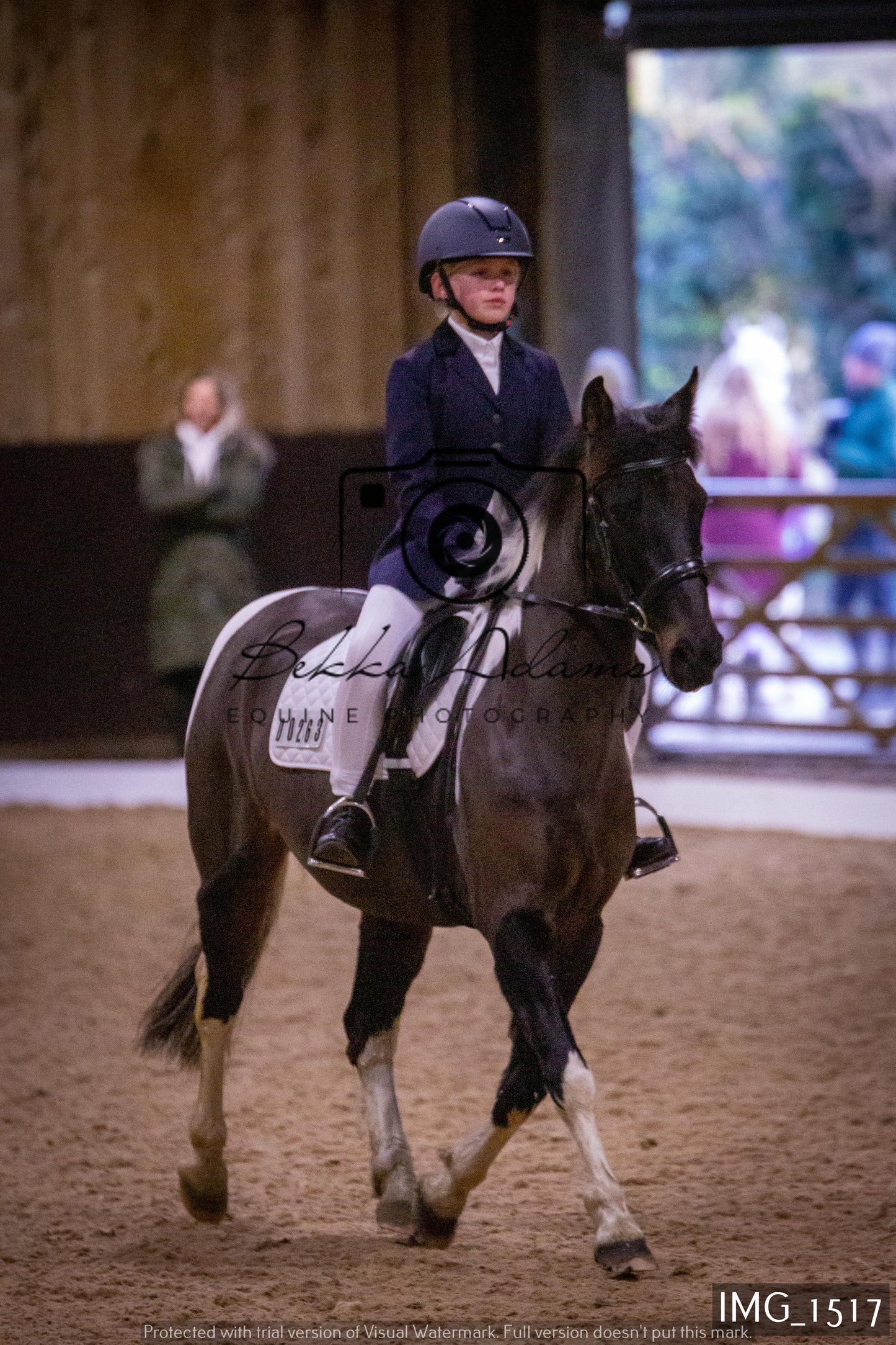 Home Farm Dressage 22nd January - Juniors
