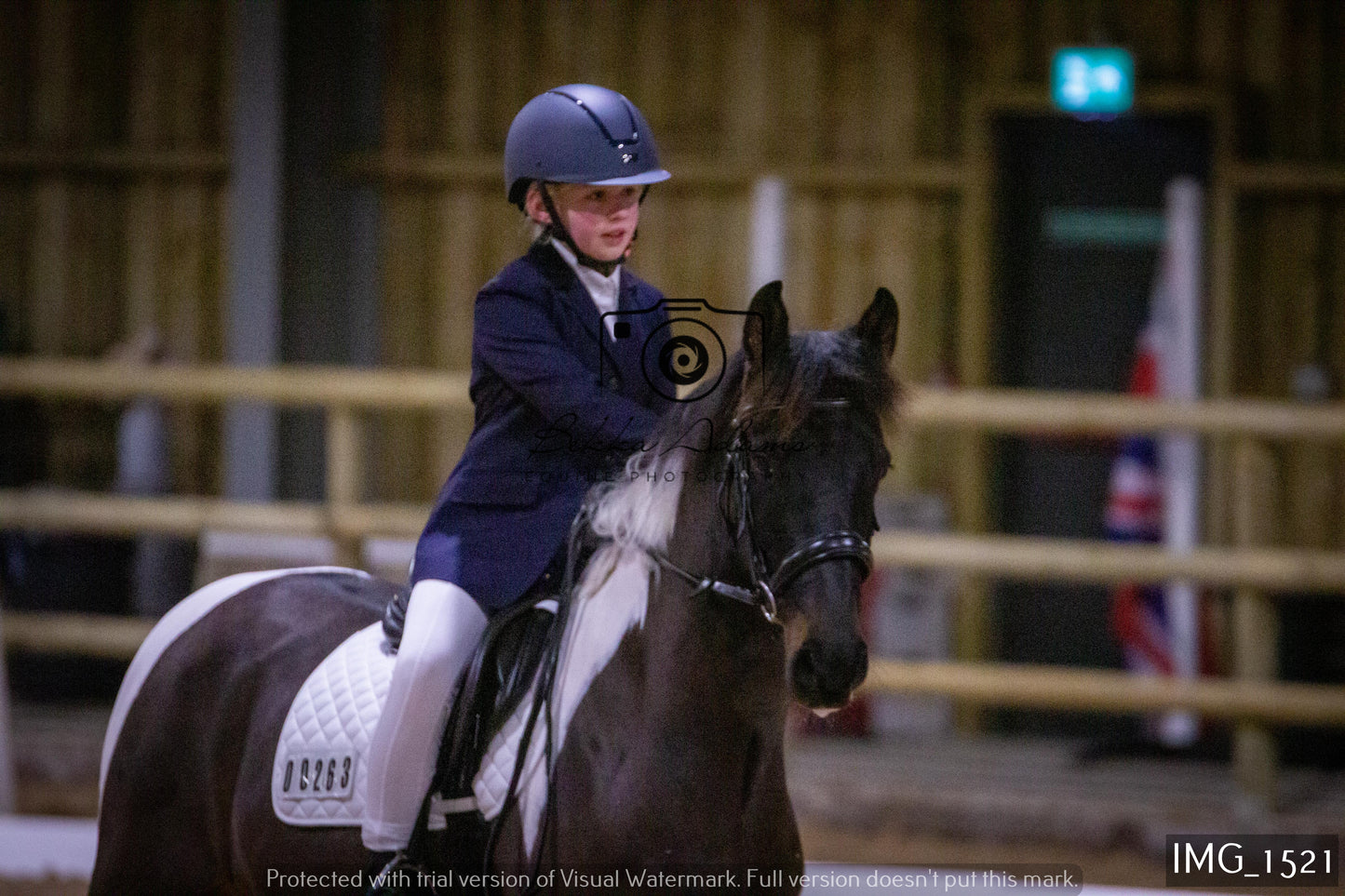 Home Farm Dressage 22nd January - Juniors