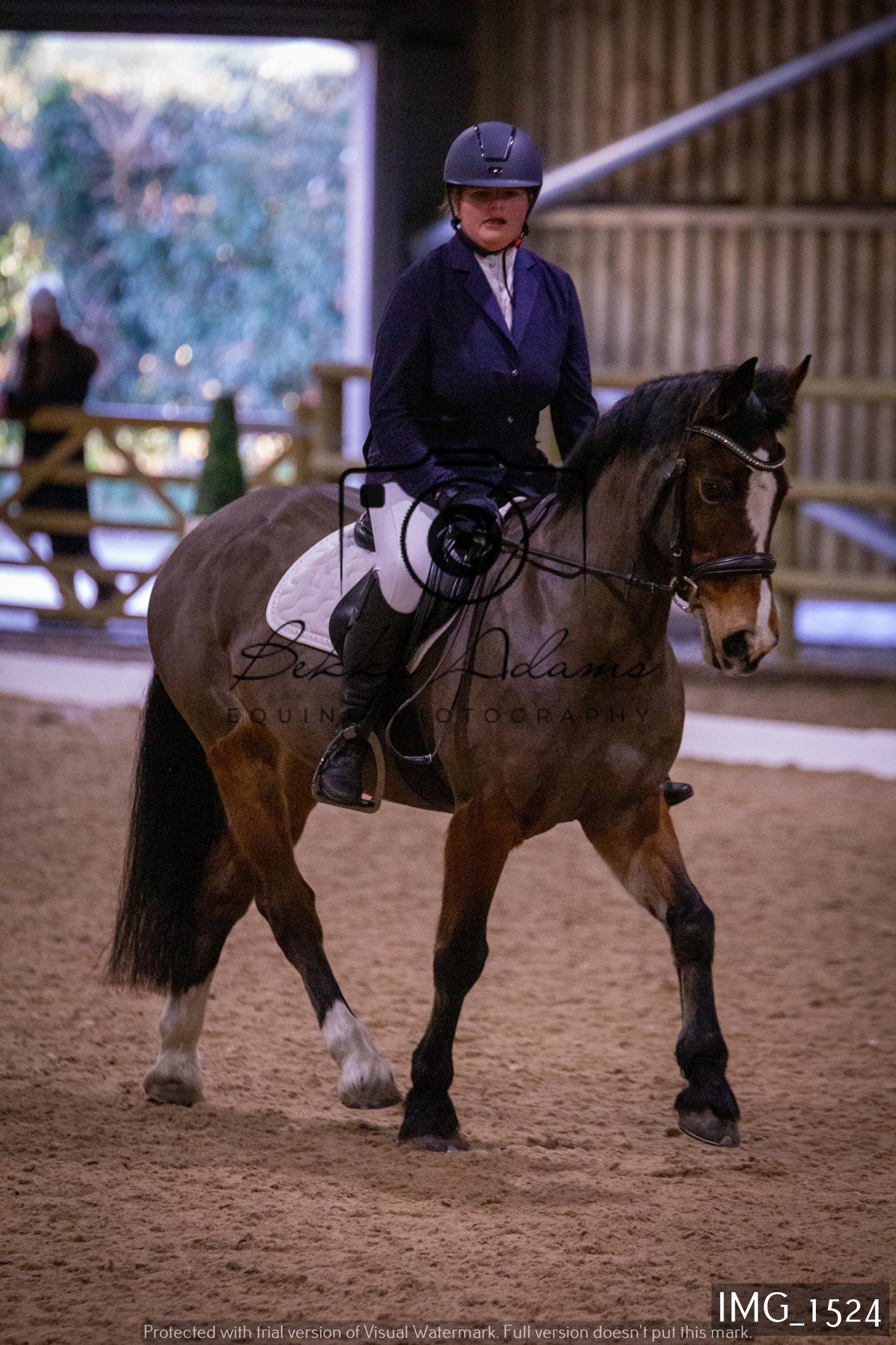 Home Farm Dressage 22nd January - Juniors