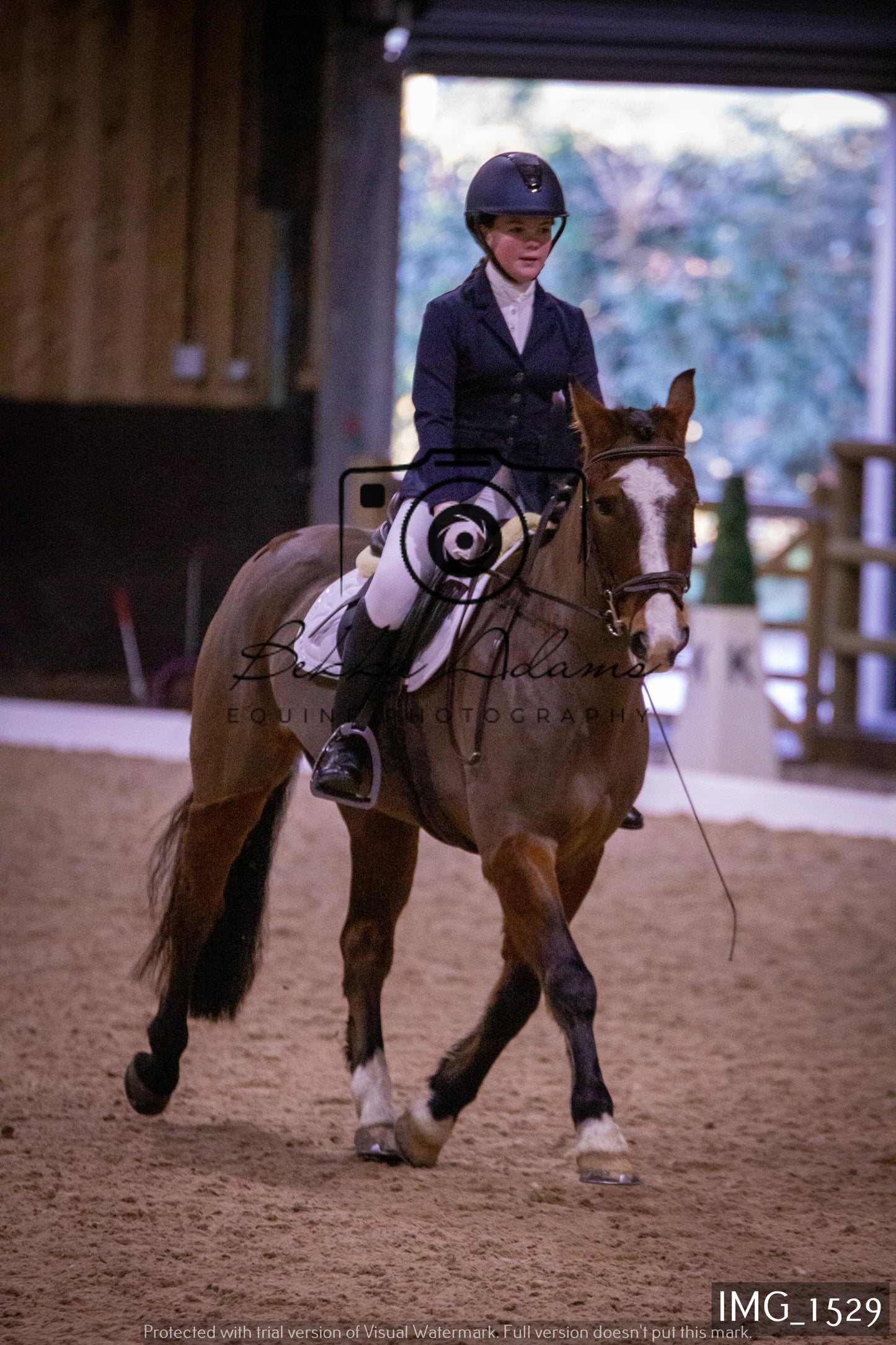 Home Farm Dressage 22nd January - Juniors