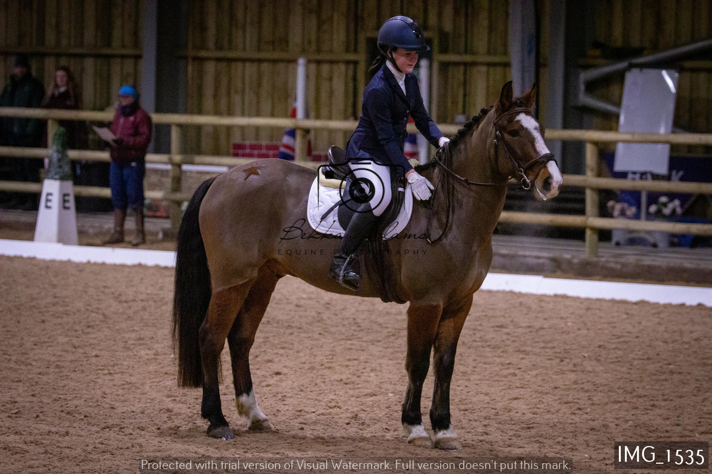 Home Farm Dressage 22nd January - Juniors