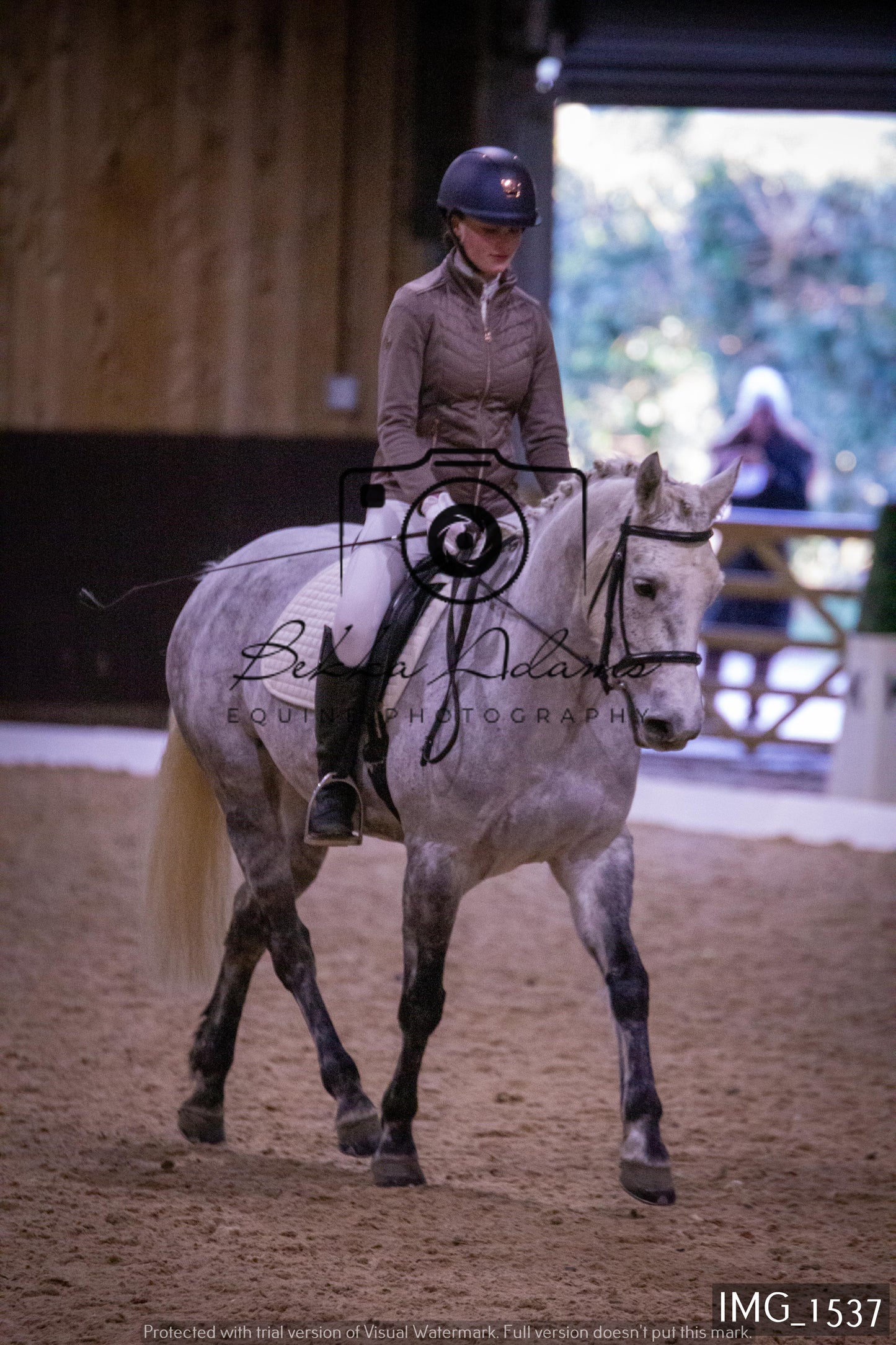 Home Farm Dressage 22nd January - Juniors