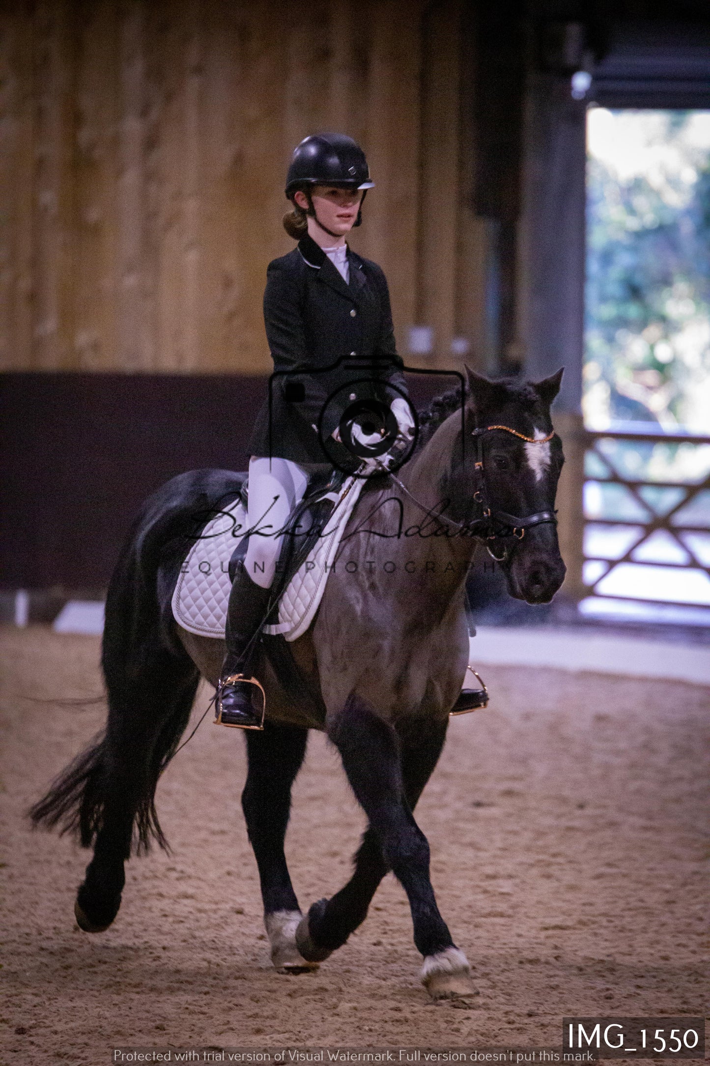 Home Farm Dressage 22nd January - Juniors