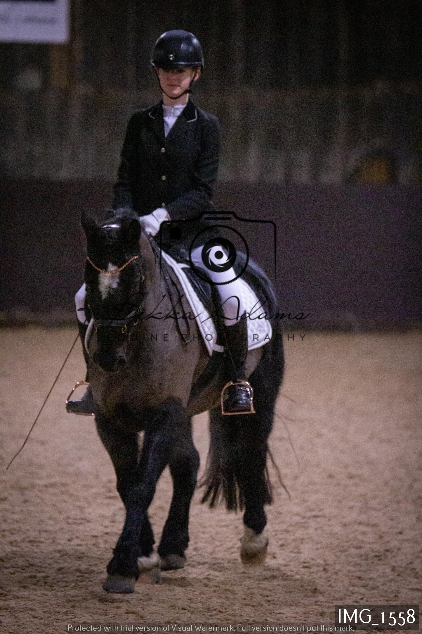 Home Farm Dressage 22nd January - Juniors
