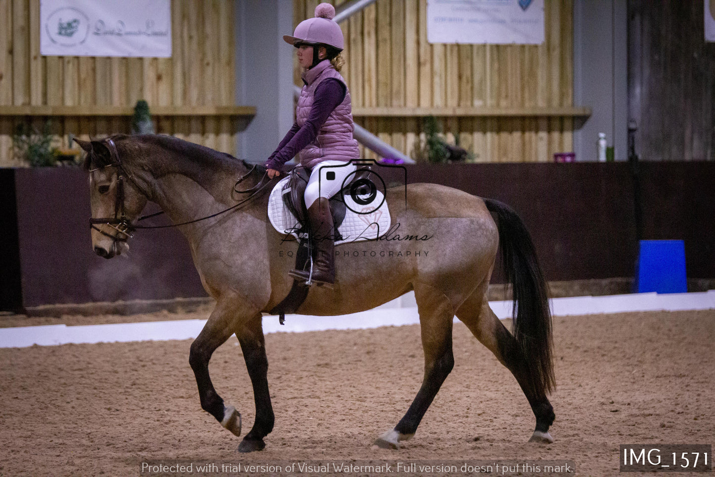 Home Farm Dressage 22nd January - Juniors