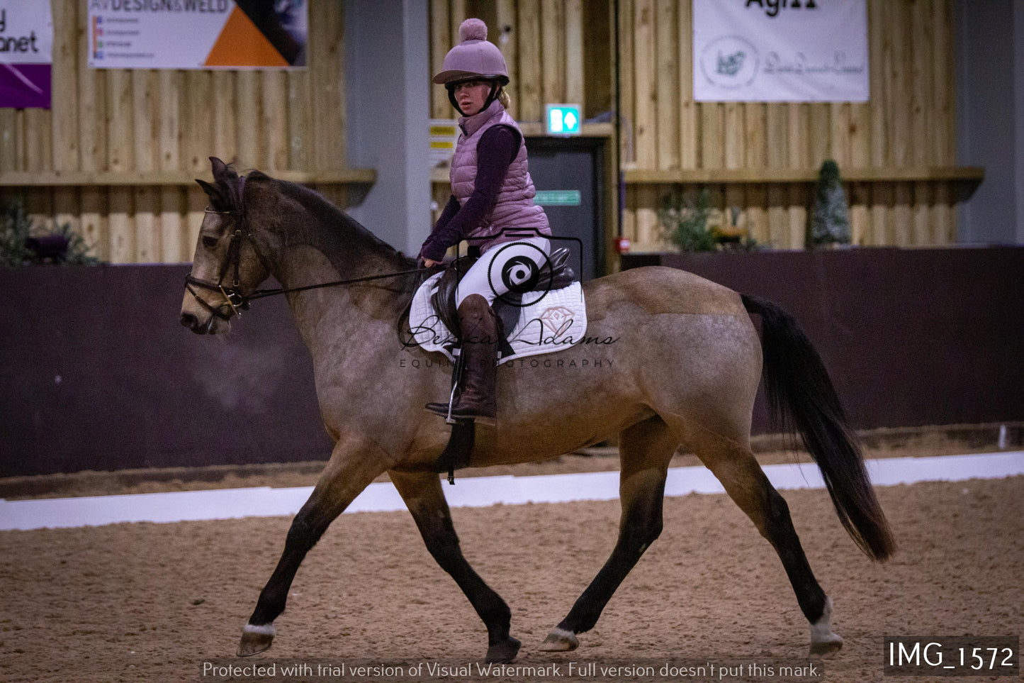 Home Farm Dressage 22nd January - Juniors
