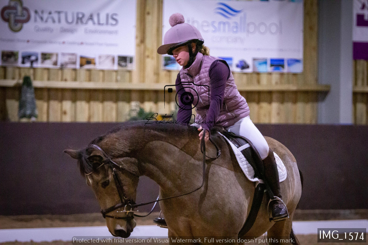Home Farm Dressage 22nd January - Juniors