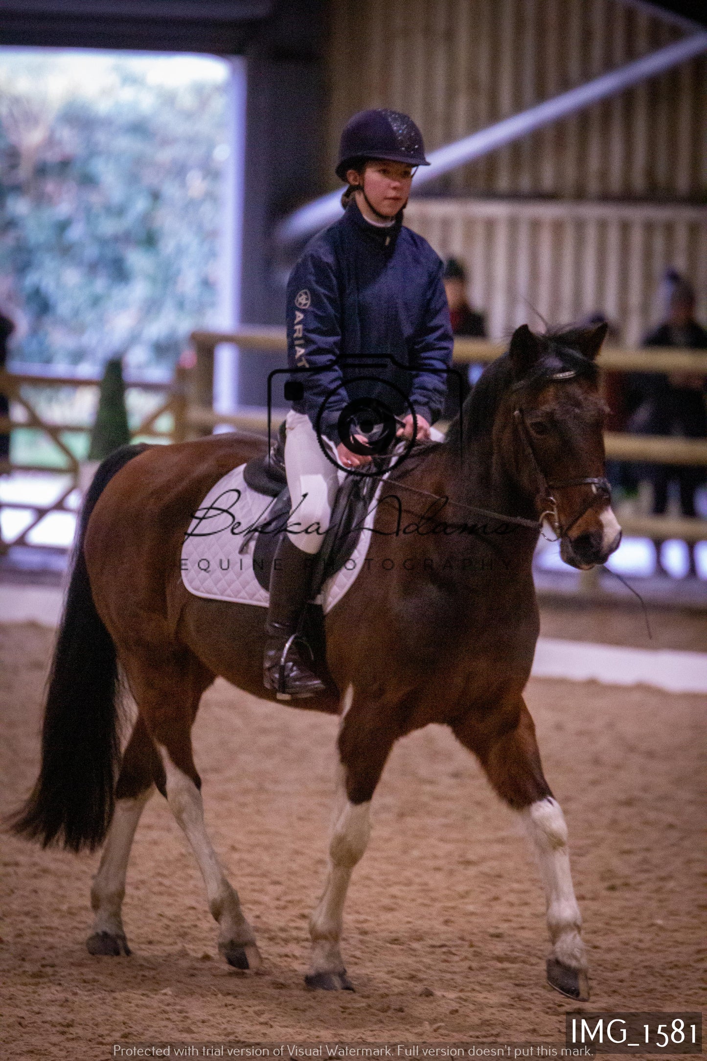 Home Farm Dressage 22nd January - Juniors