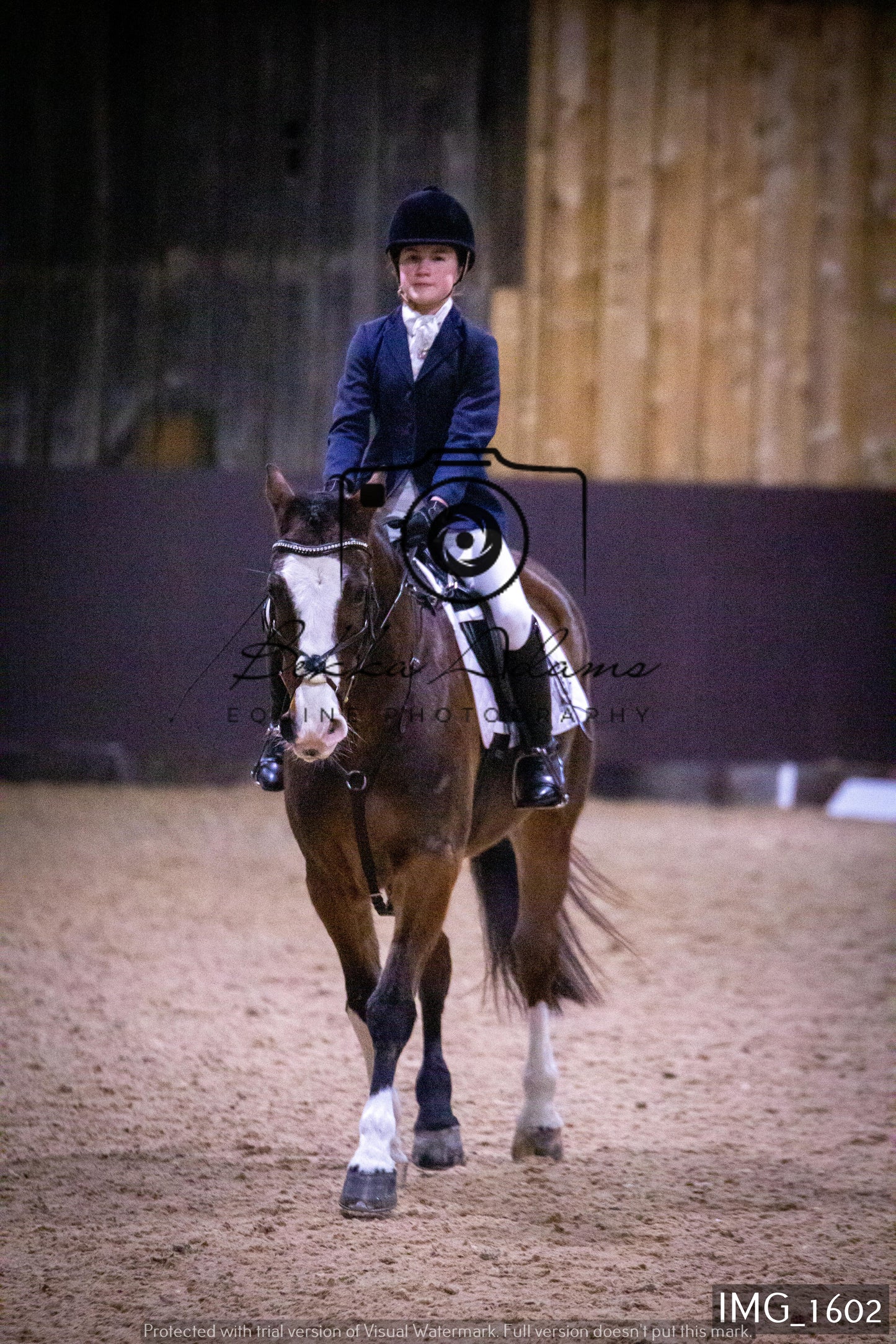 Home Farm Dressage 22nd January - Juniors