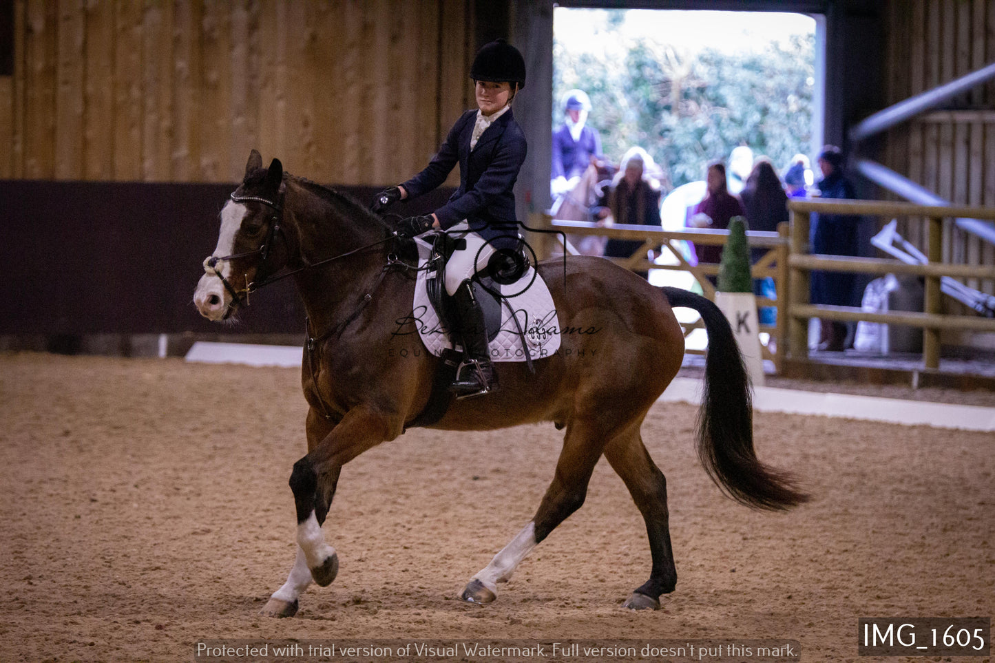 Home Farm Dressage 22nd January - Juniors