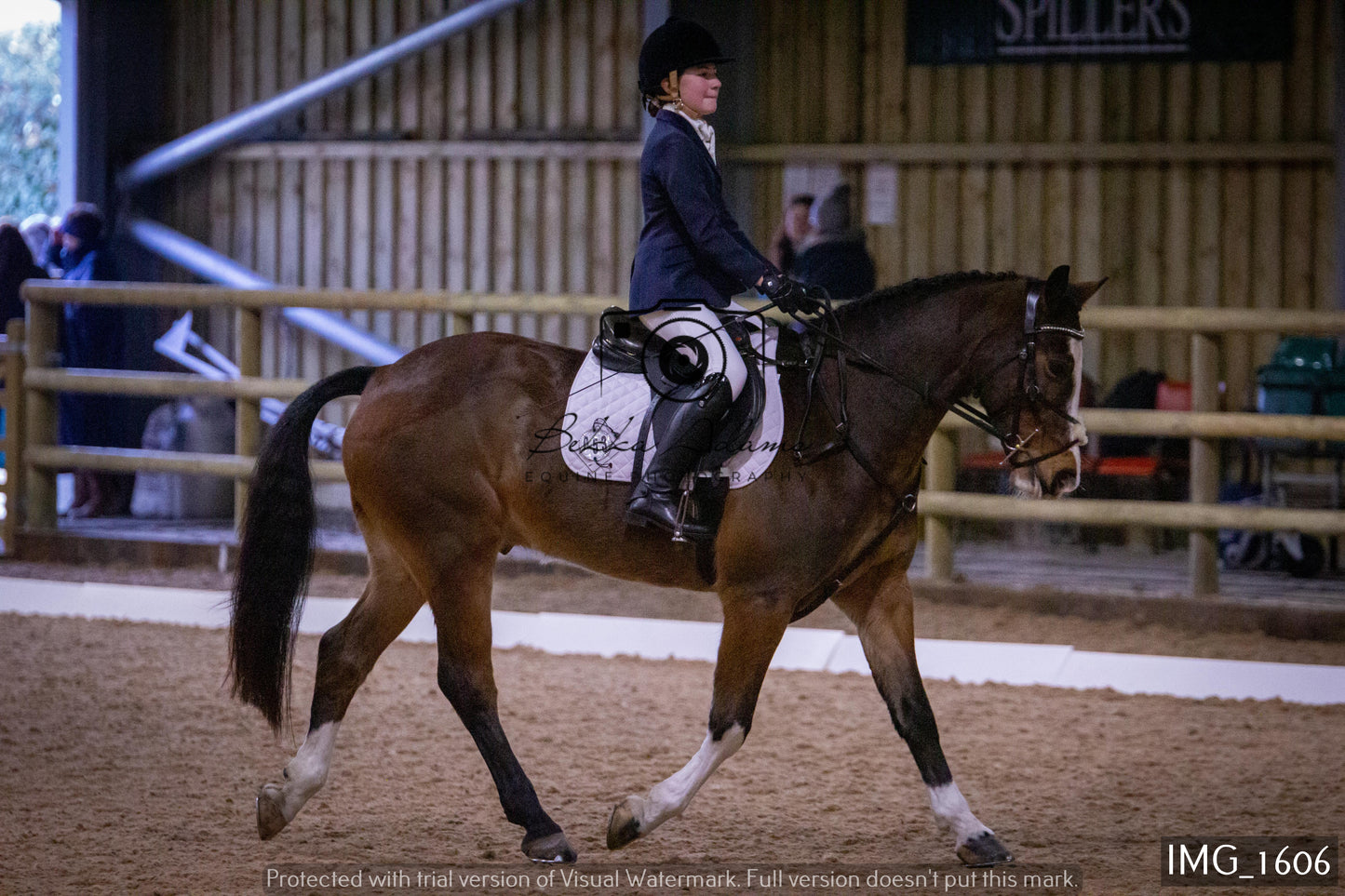 Home Farm Dressage 22nd January - Juniors