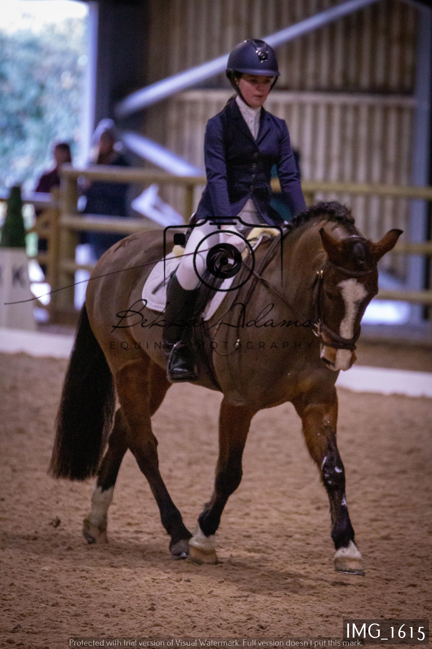 Home Farm Dressage 22nd January - Juniors
