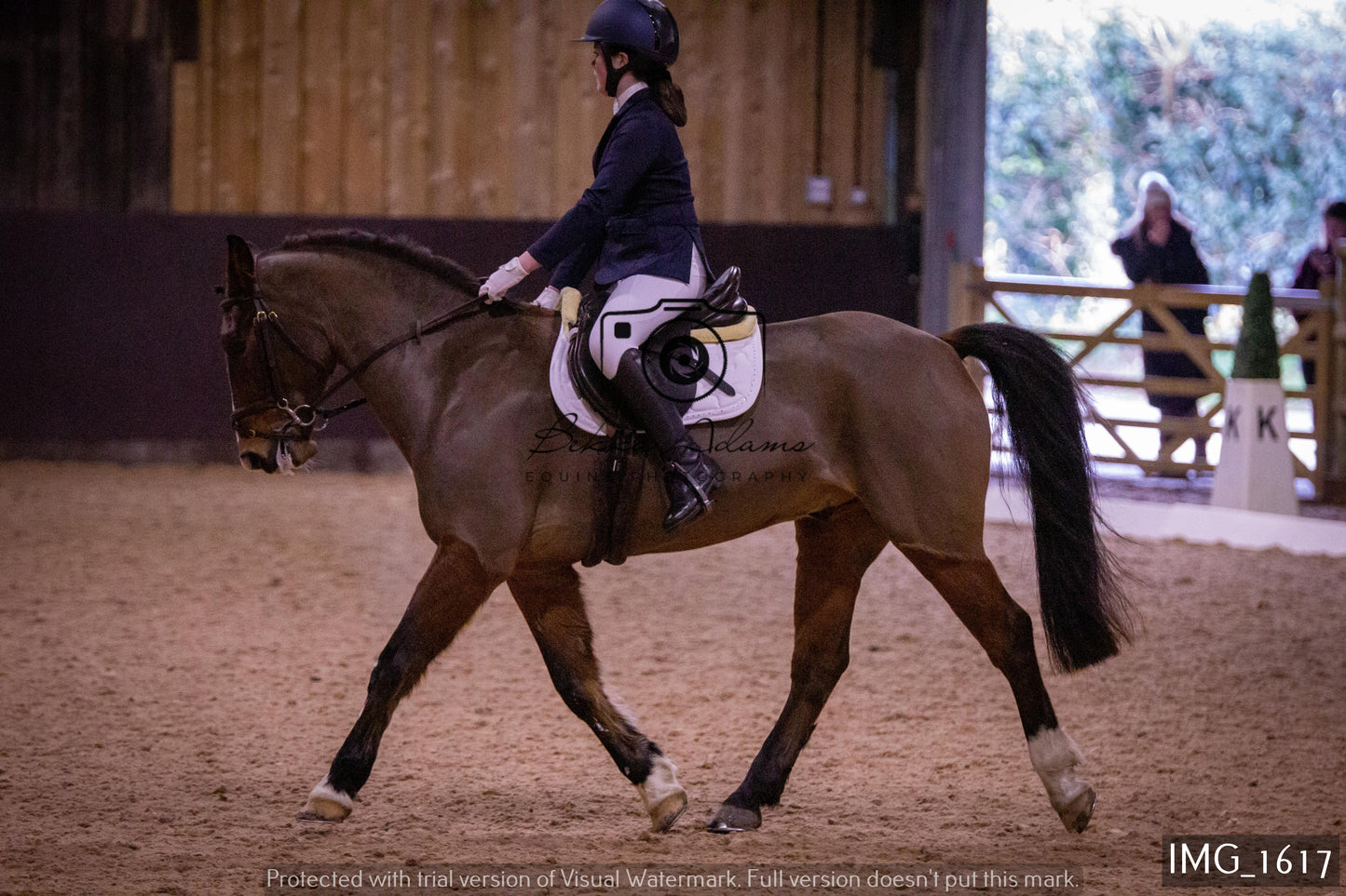 Home Farm Dressage 22nd January - Juniors