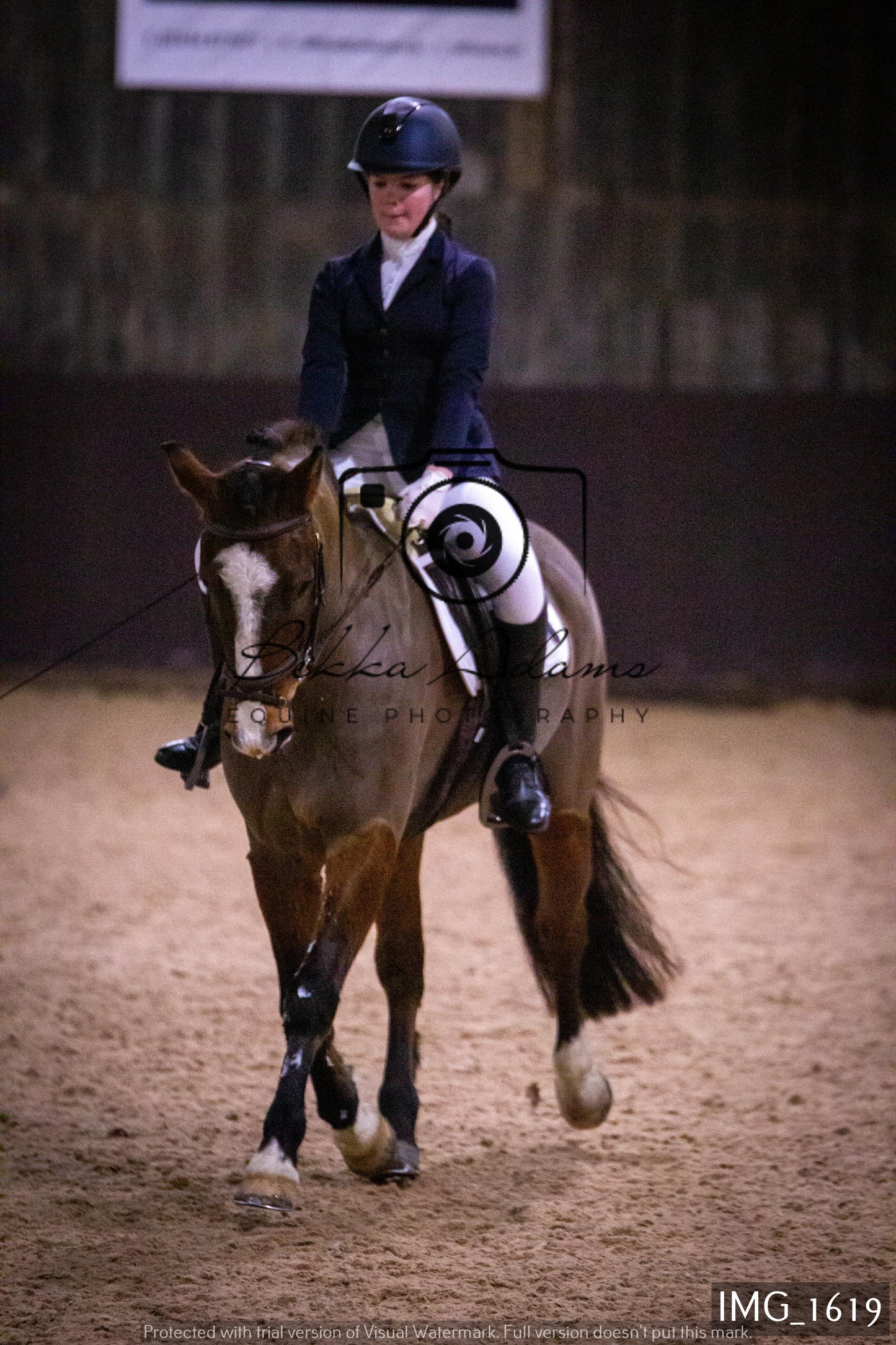 Home Farm Dressage 22nd January - Juniors