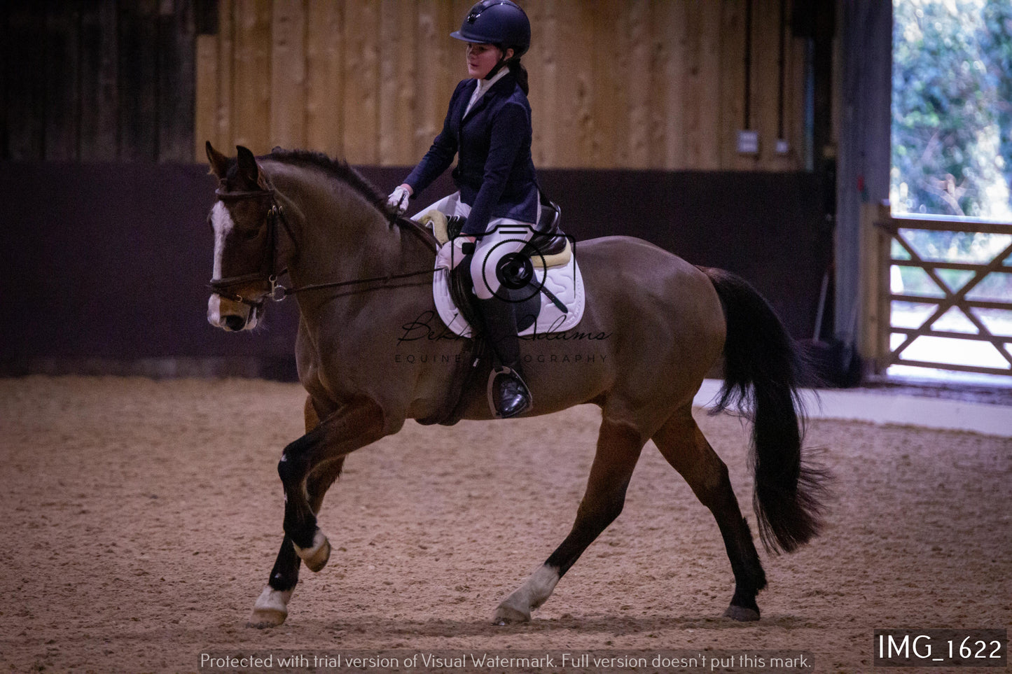 Home Farm Dressage 22nd January - Juniors