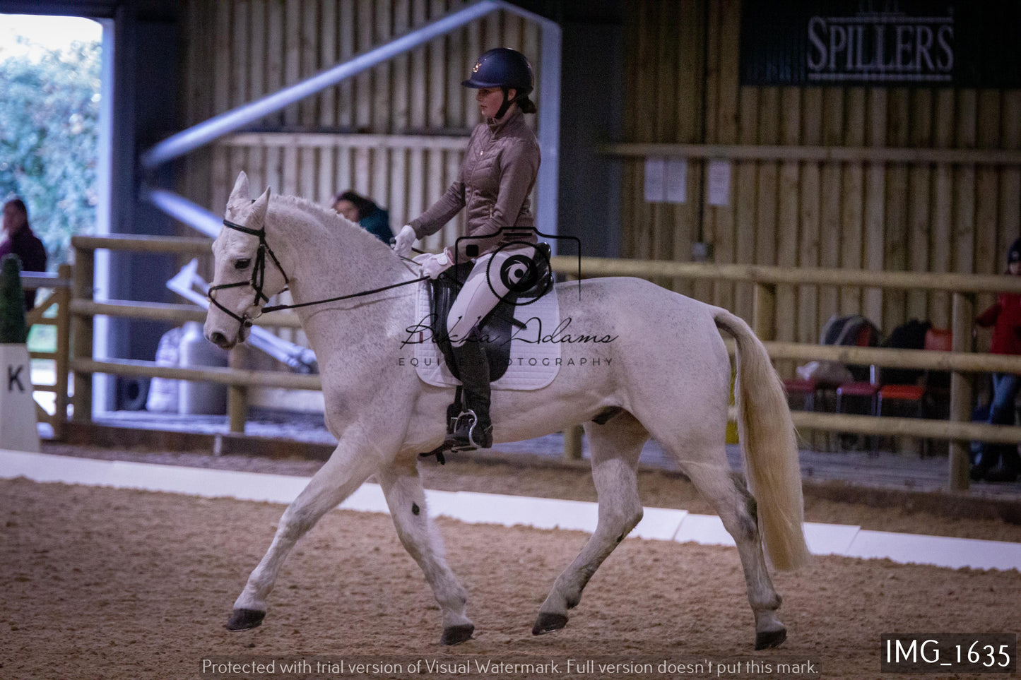 Home Farm Dressage 22nd January - Juniors