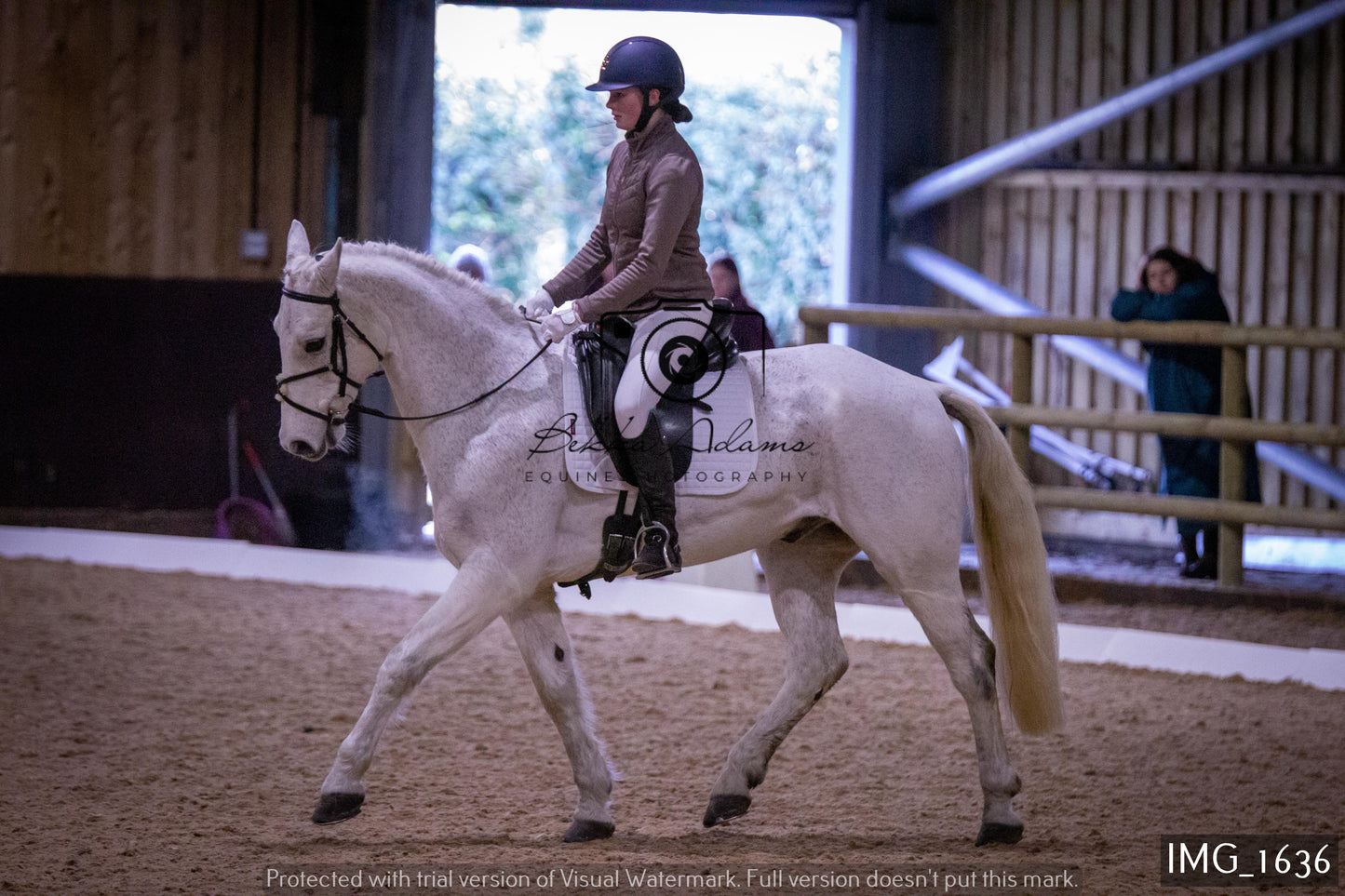 Home Farm Dressage 22nd January - Juniors