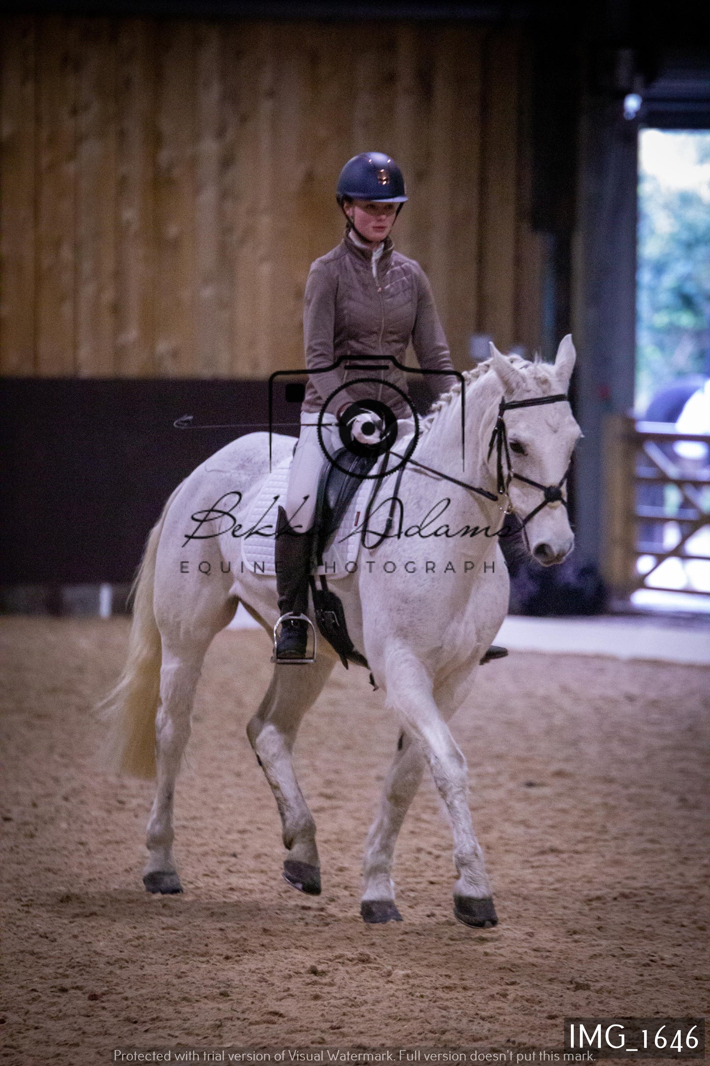 Home Farm Dressage 22nd January - Juniors