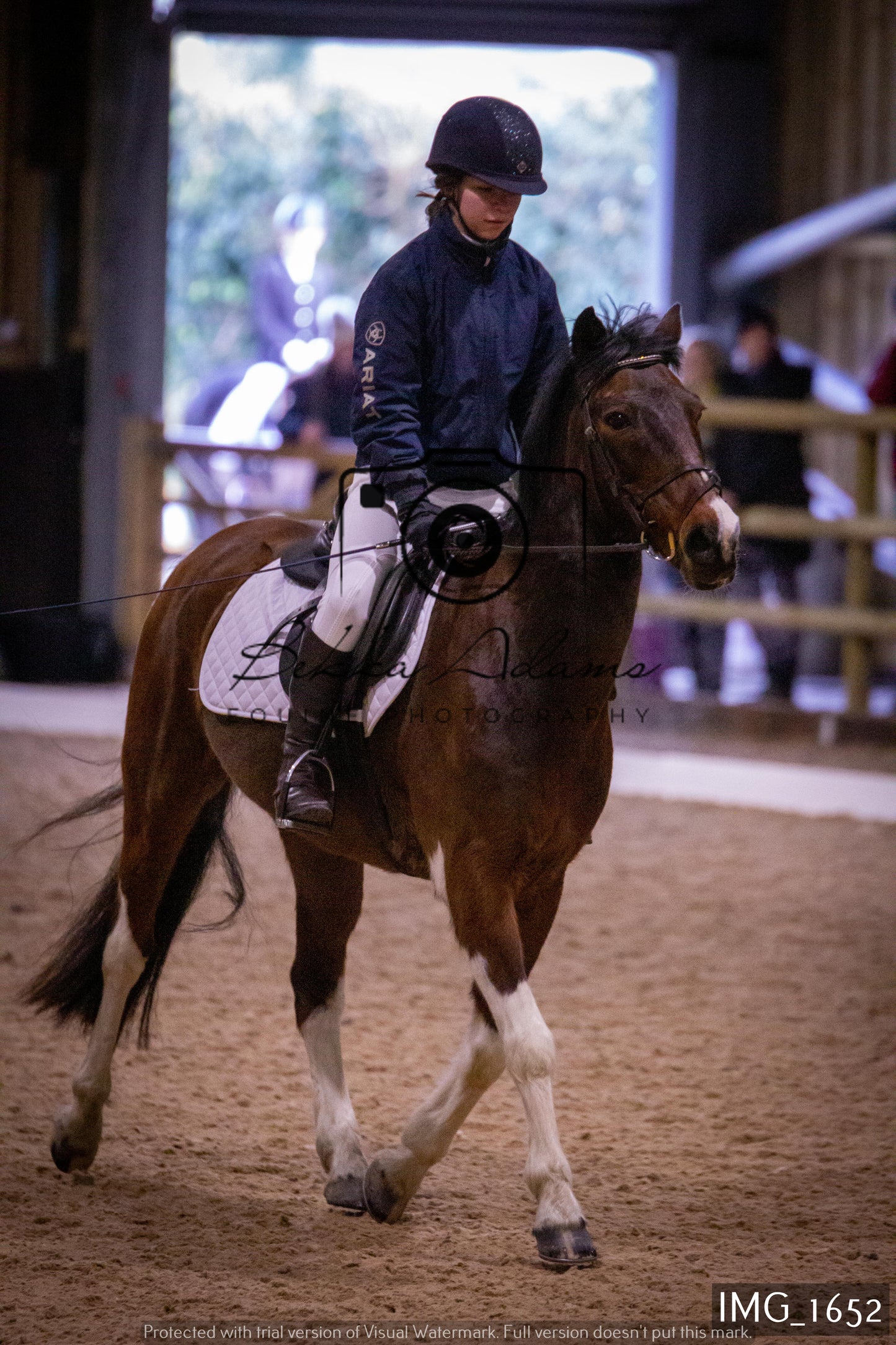 Home Farm Dressage 22nd January - Juniors