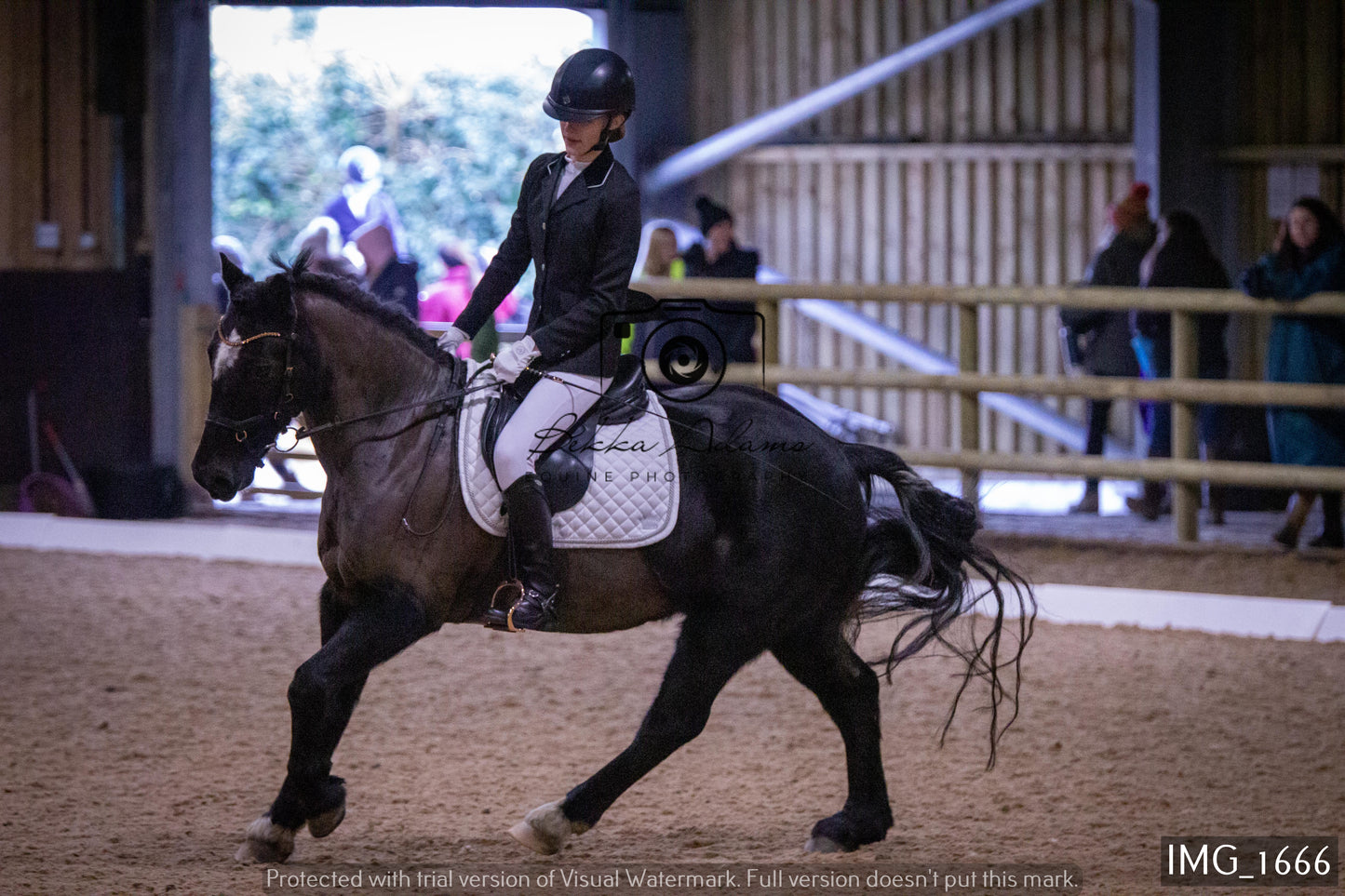 Home Farm Dressage 22nd January - Juniors