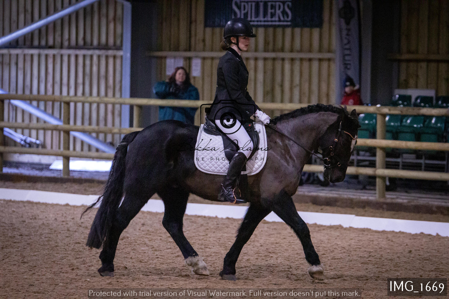 Home Farm Dressage 22nd January - Juniors