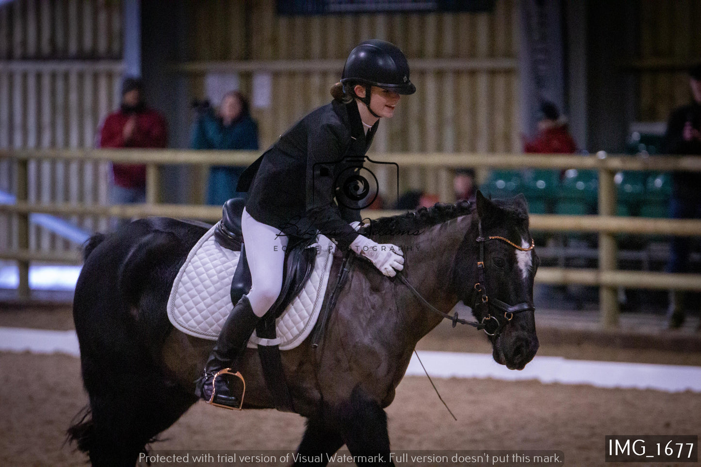 Home Farm Dressage 22nd January - Juniors