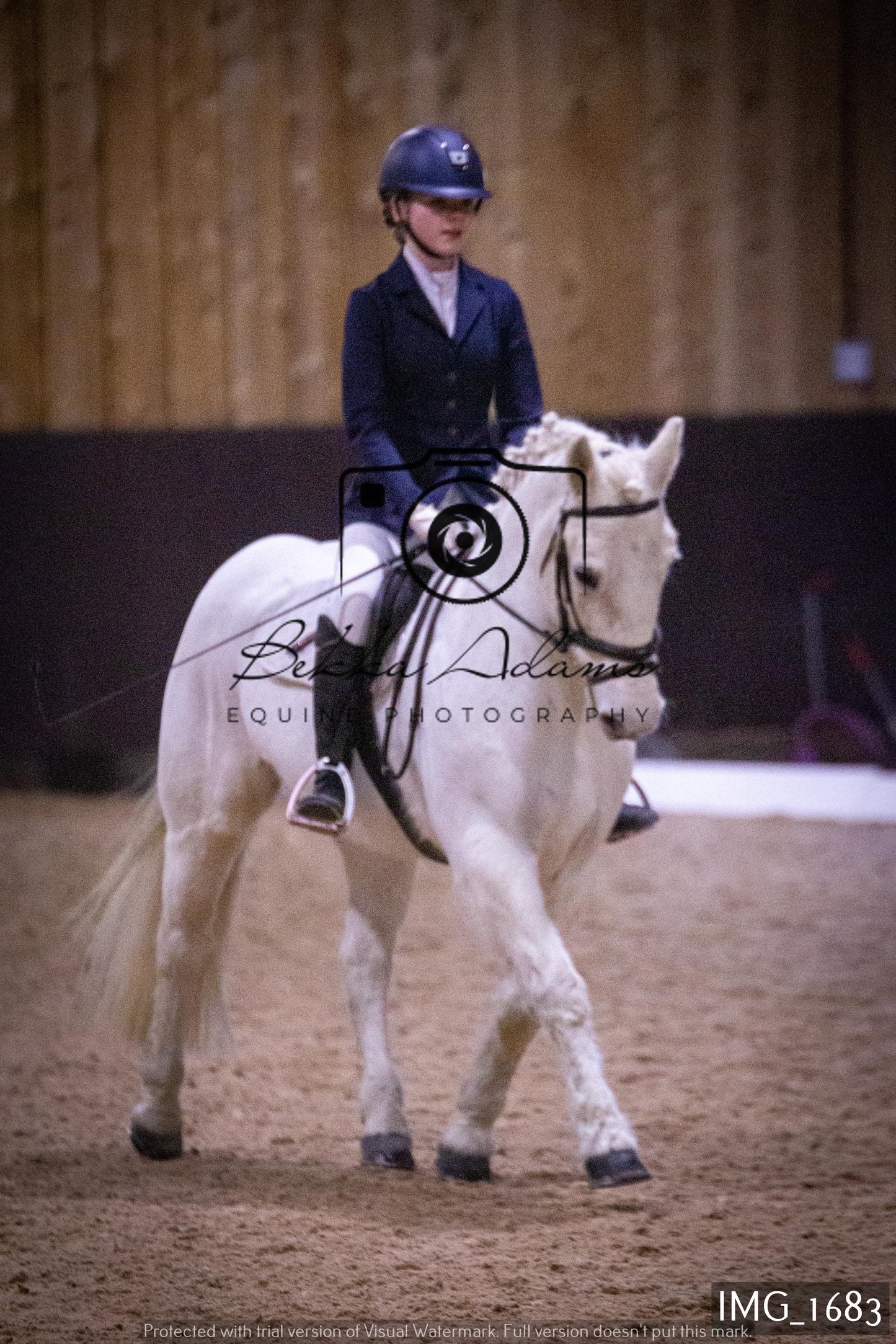 Home Farm Dressage 22nd January - Juniors