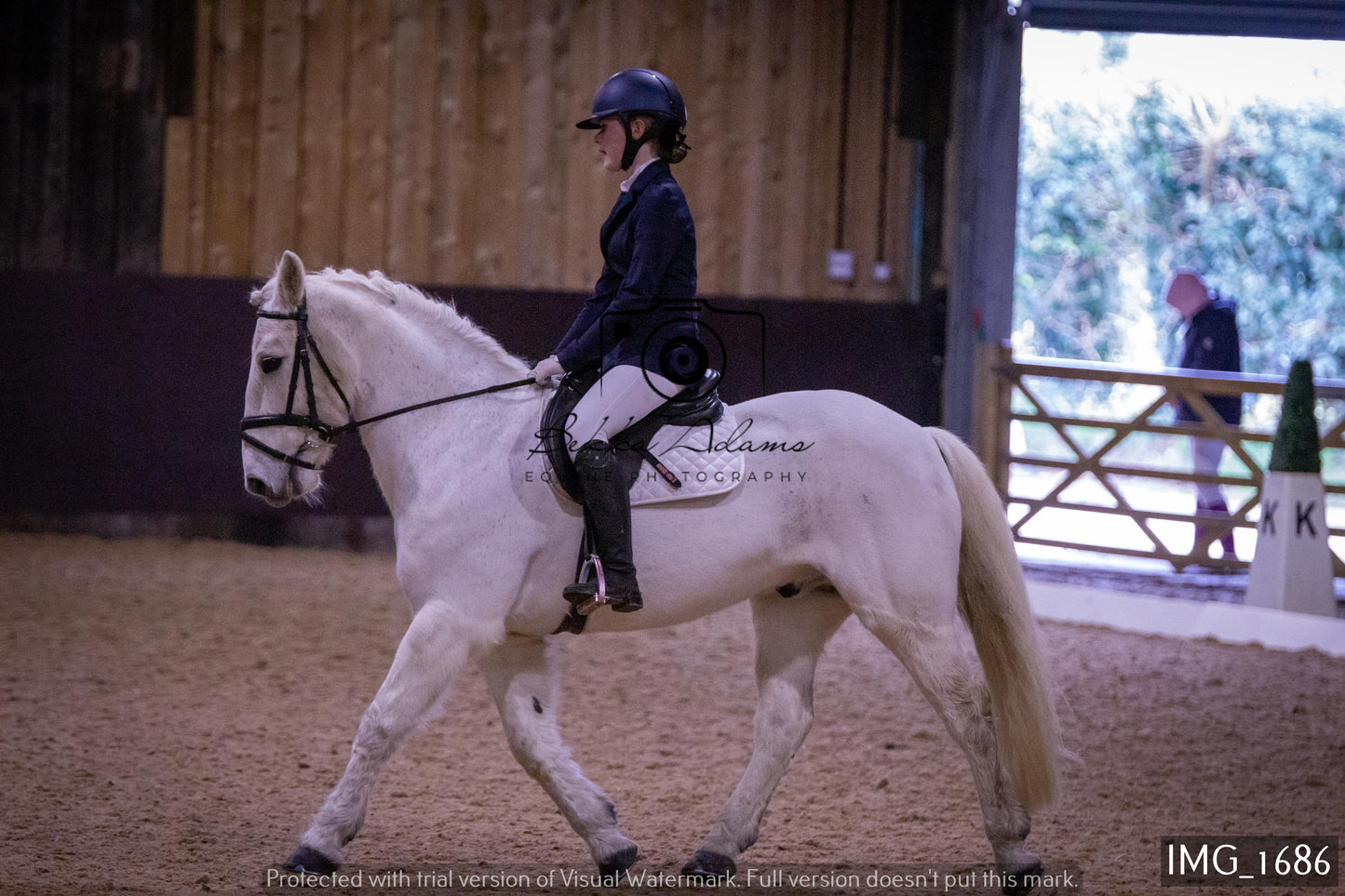 Home Farm Dressage 22nd January - Juniors